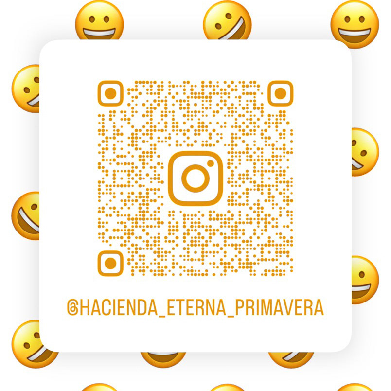 A scannable QR code linking to the Hacienda Eterna Primavera Instagram page, allowing guests and followers to easily connect and stay updated on the latest news and experiences.