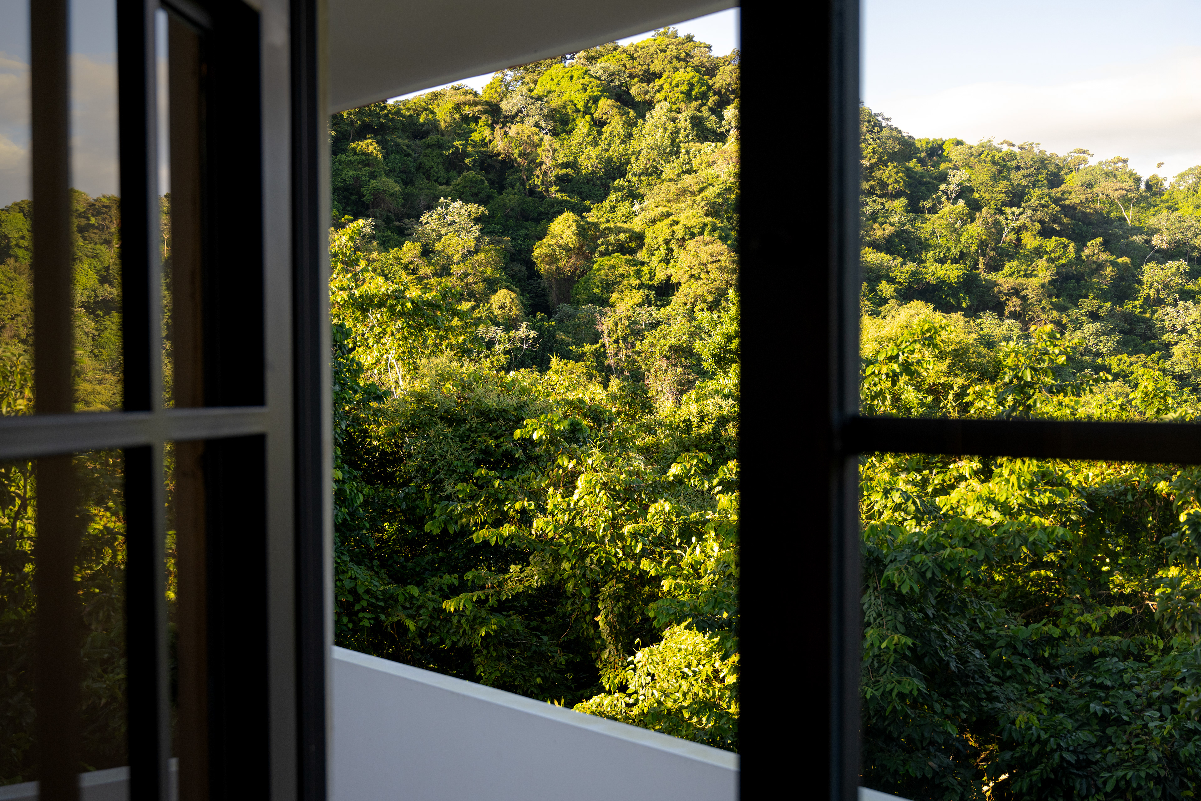 A serene view from the Hacienda Eterna Primavera balcony, overlooking lush tropical hills bathed in the soft morning light.