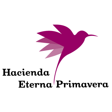 Logo Hacienda Eterna Primavera