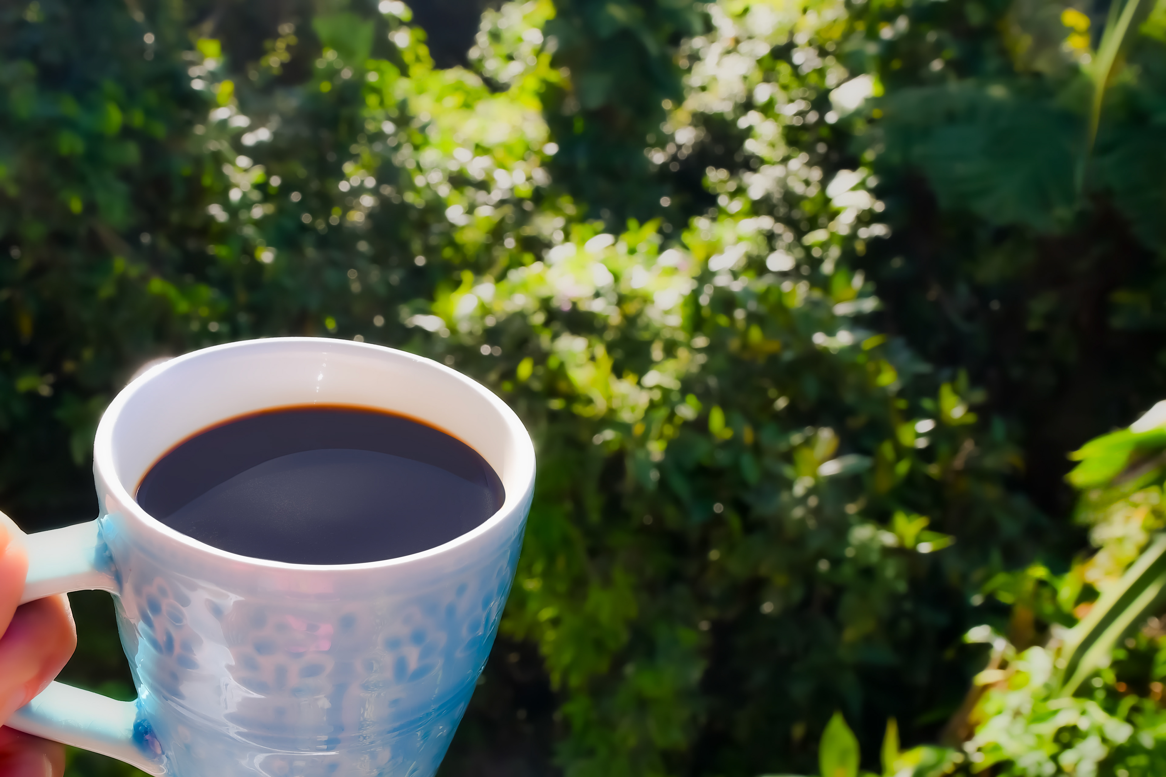 A steaming mug of Puerto Rican coffee on the balcony at Hacienda Eterna Primavera, with the morning sun rising over the lush tropical landscape.