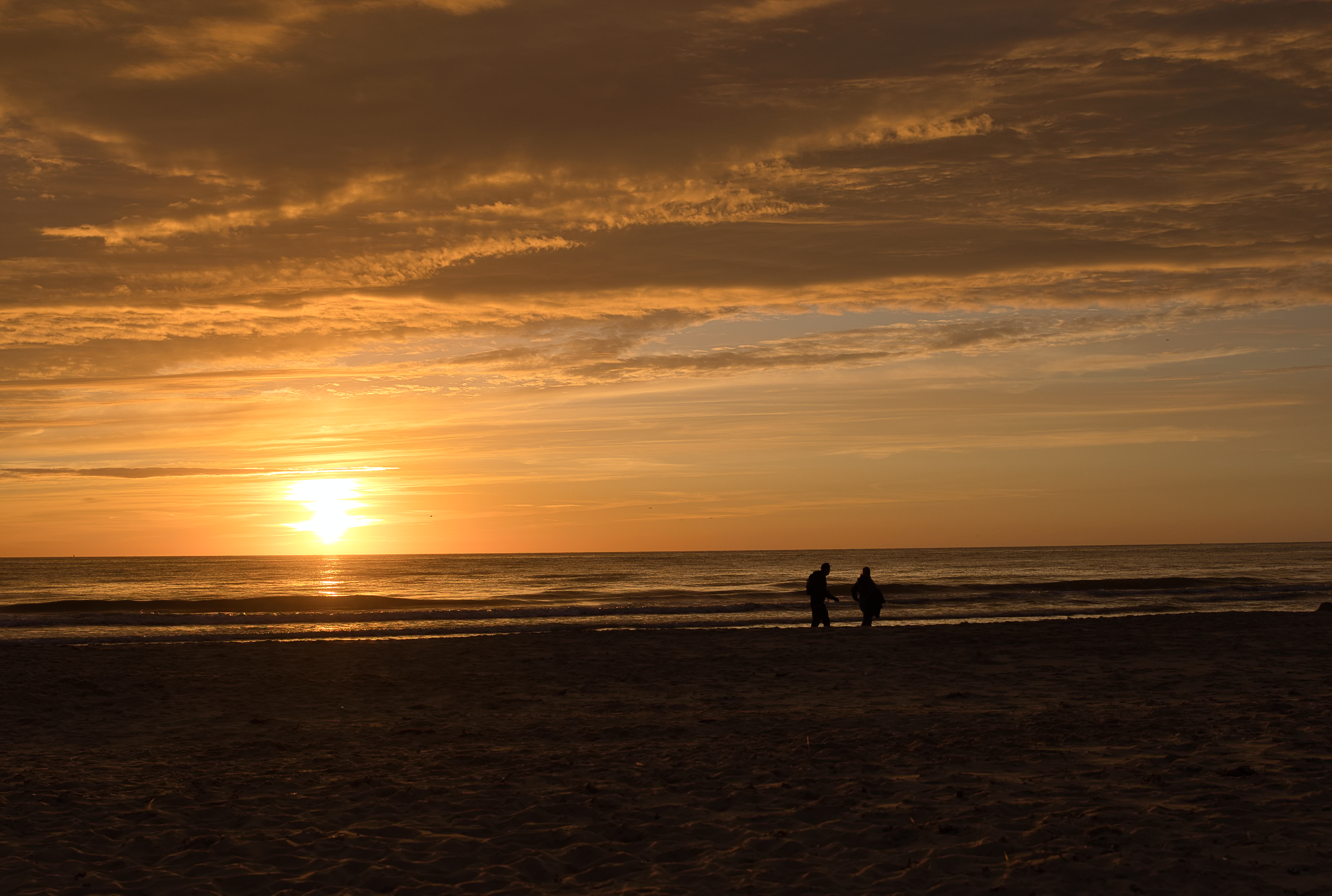 Niederlande, De Koog 4
