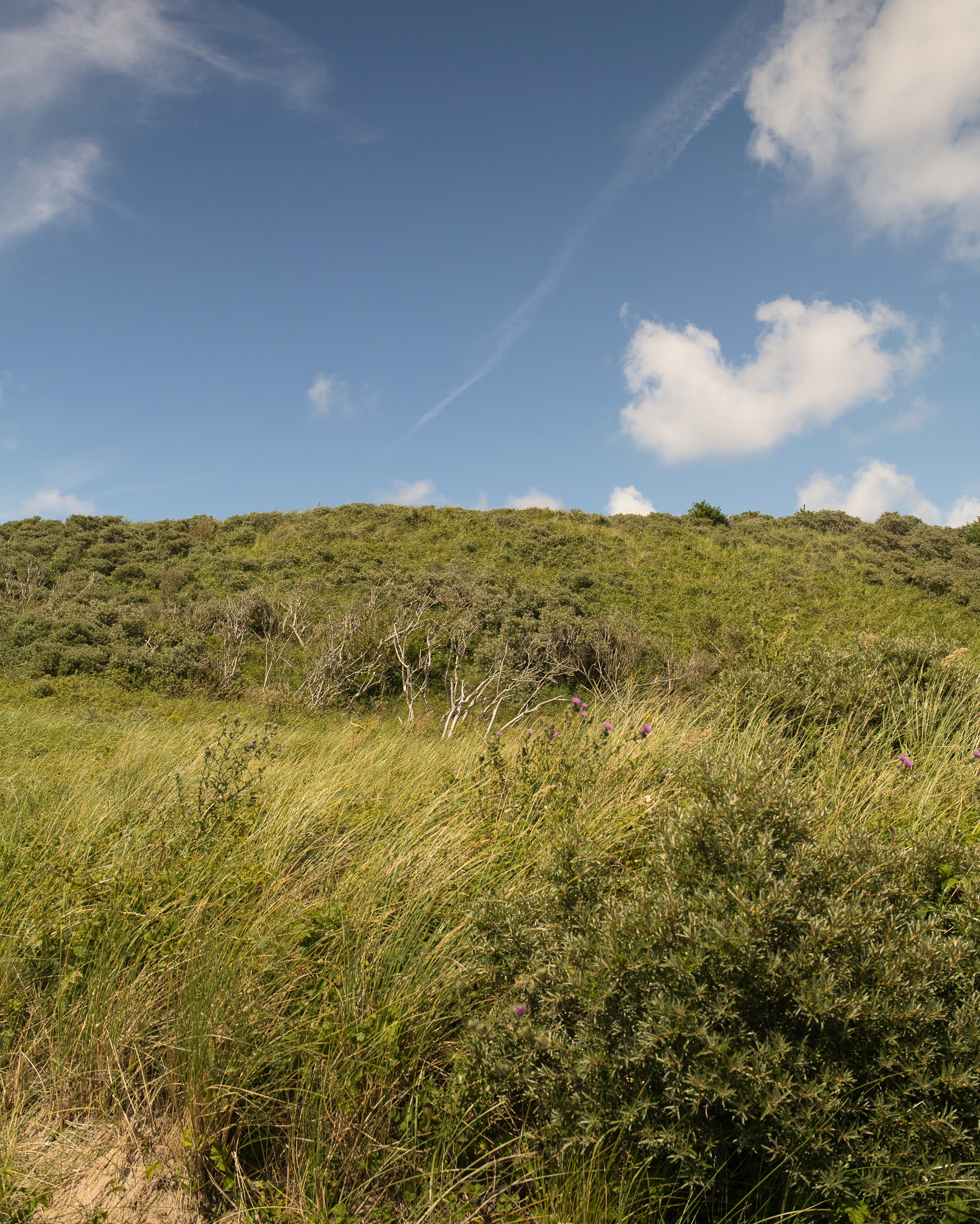 Niederlande, De Koog 1