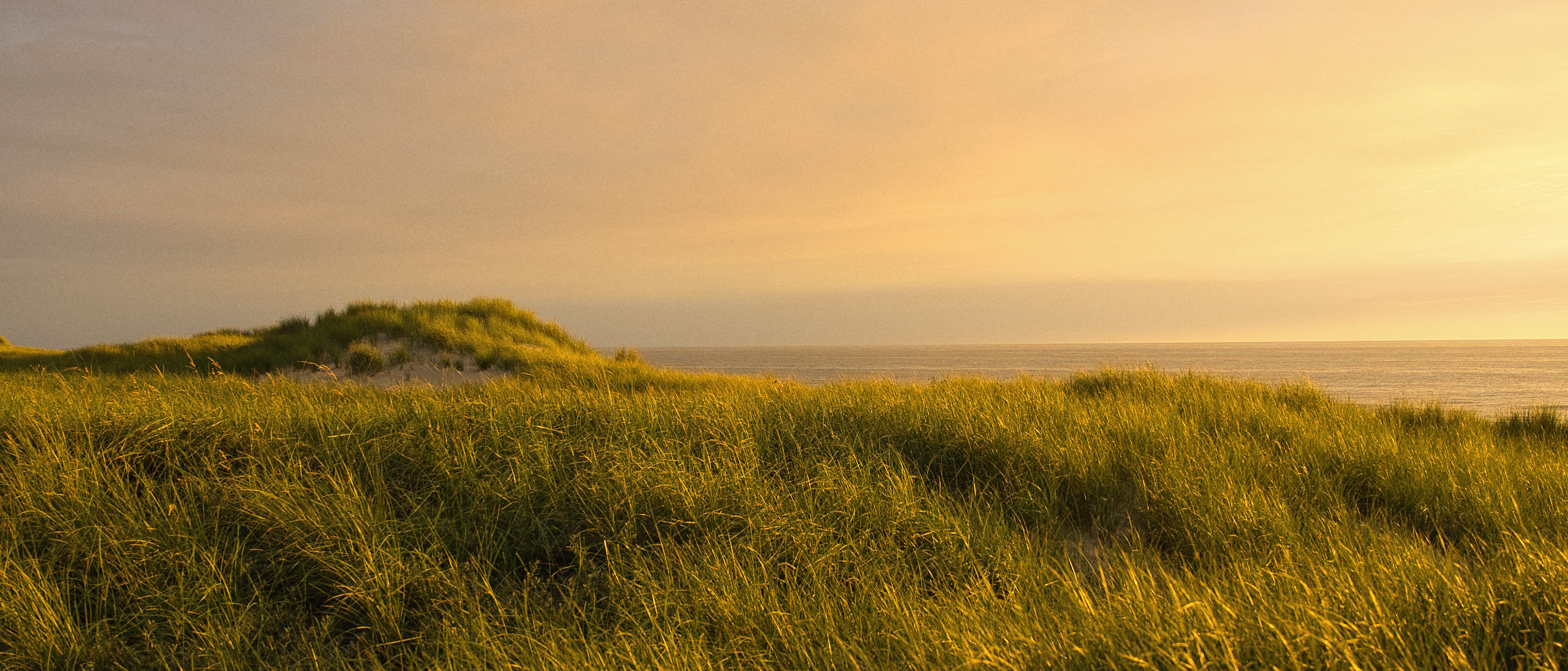 Niederlande, De Koog 3