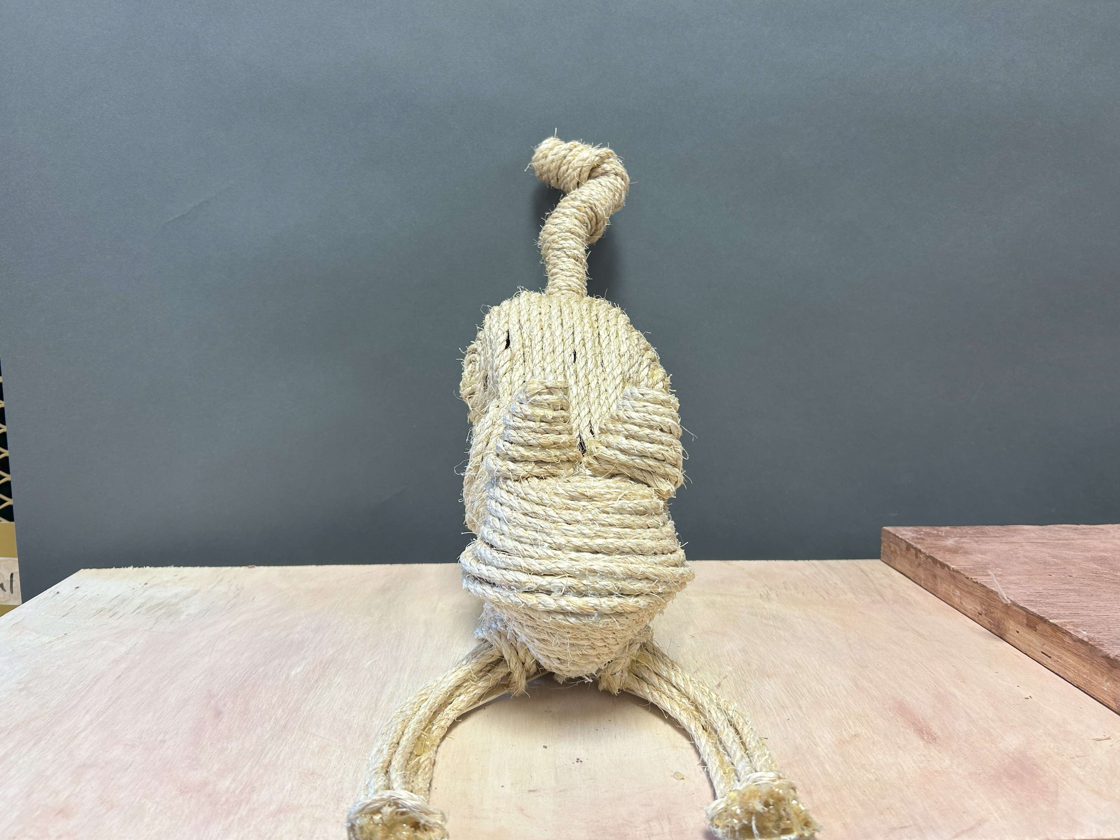 "Rope Cat" Rope, Hot Glue, Popsicle Sticks, 2023