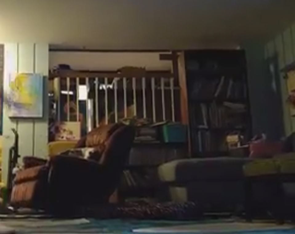 Before Messy Bookcase