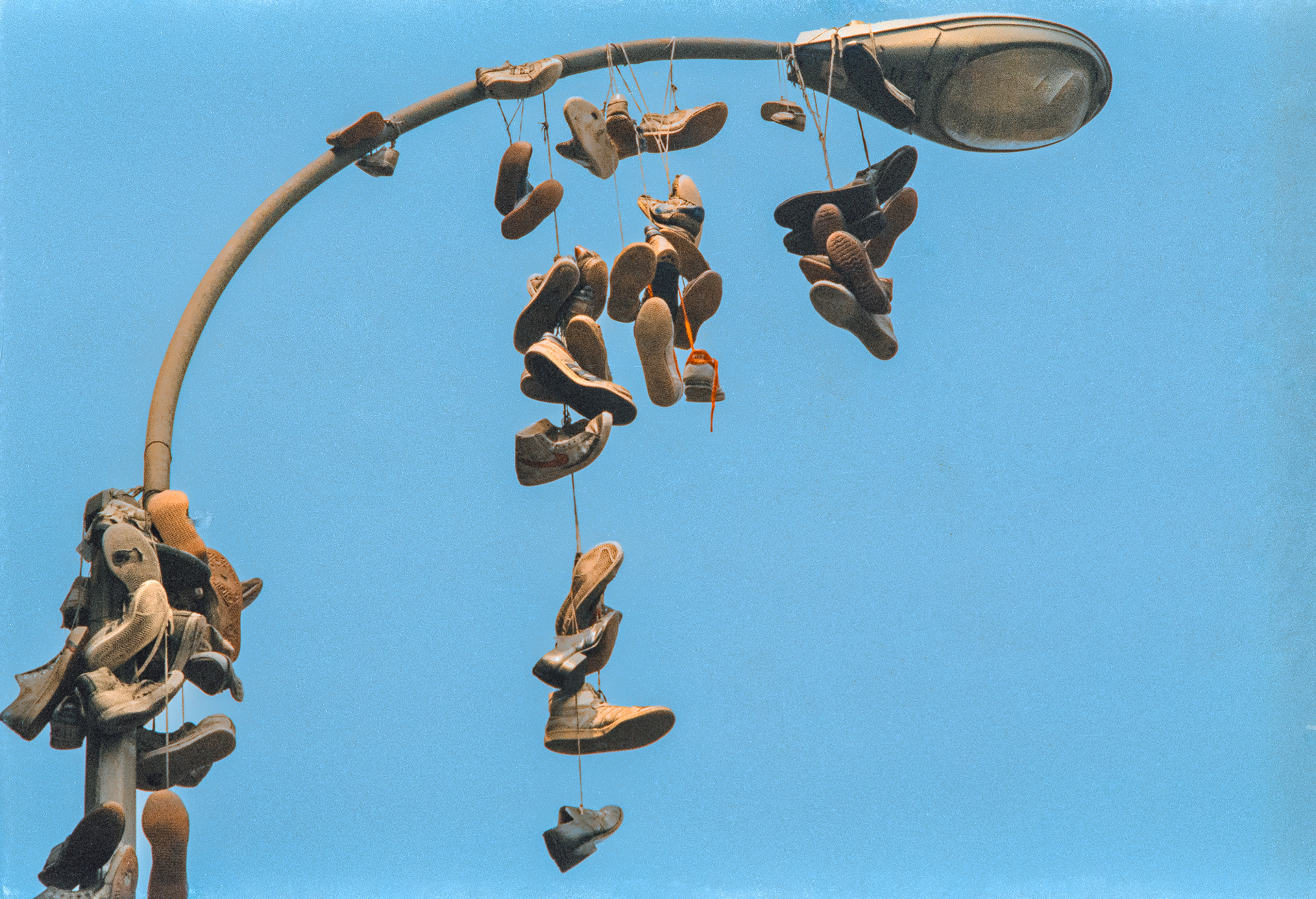 sneakers aloft
