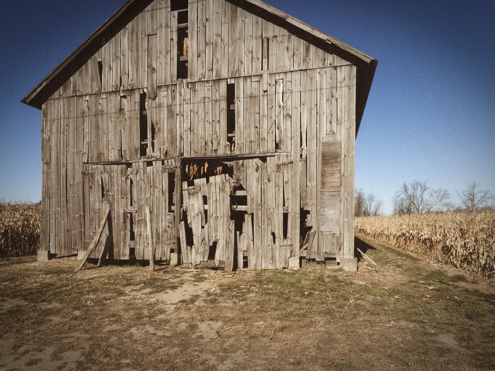 curing barn