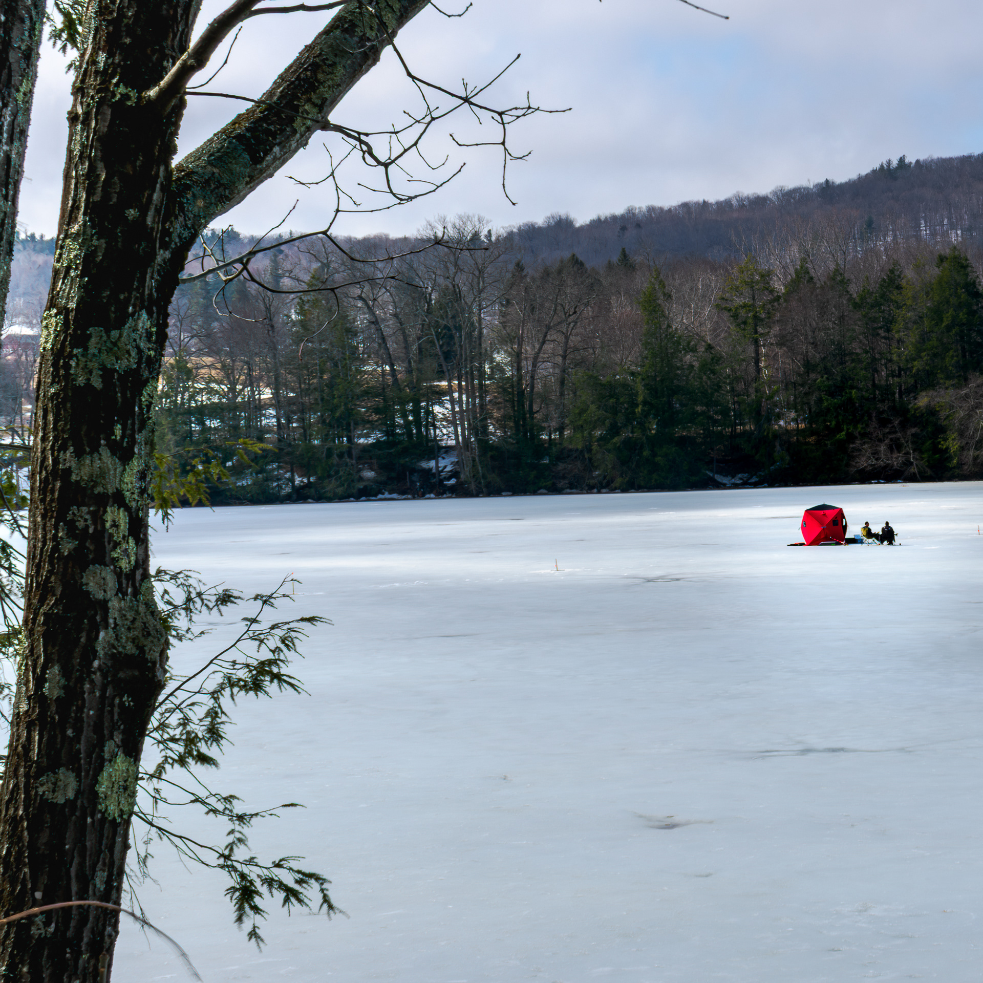 on ice