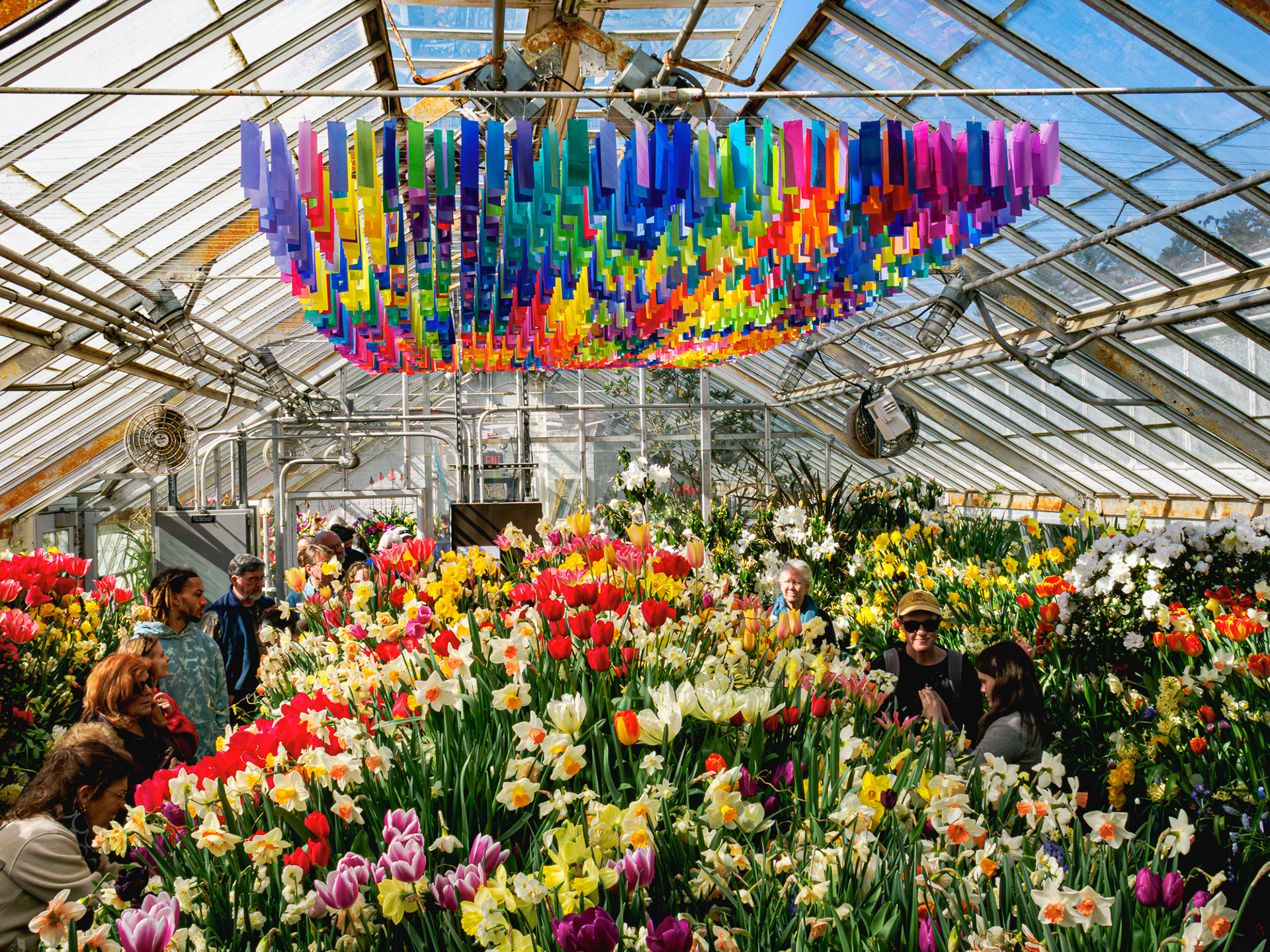 smith college bulb show