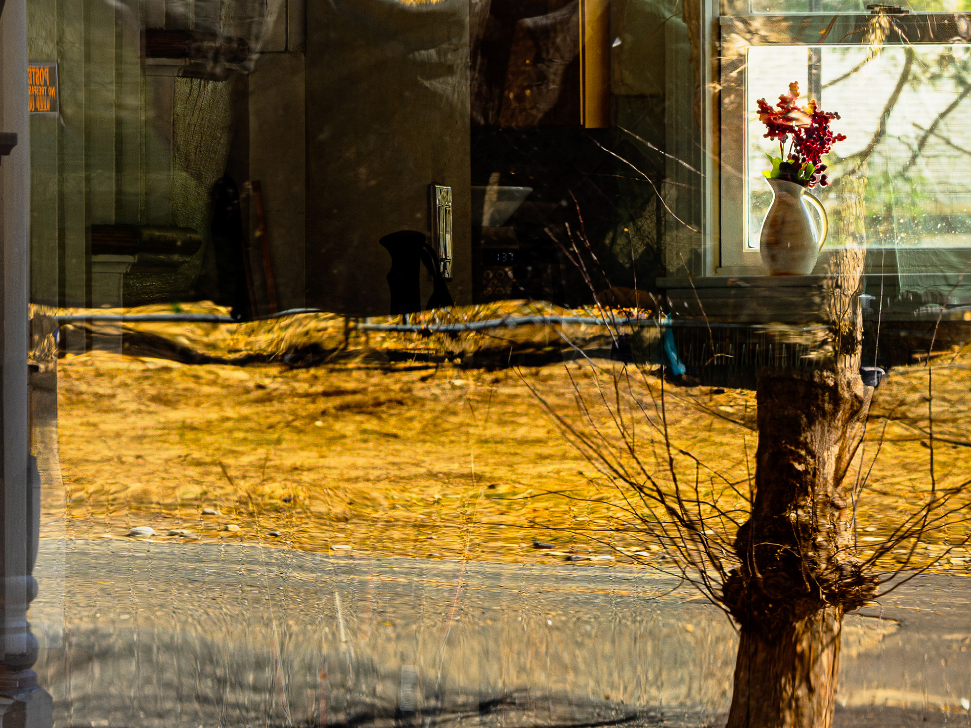 window light