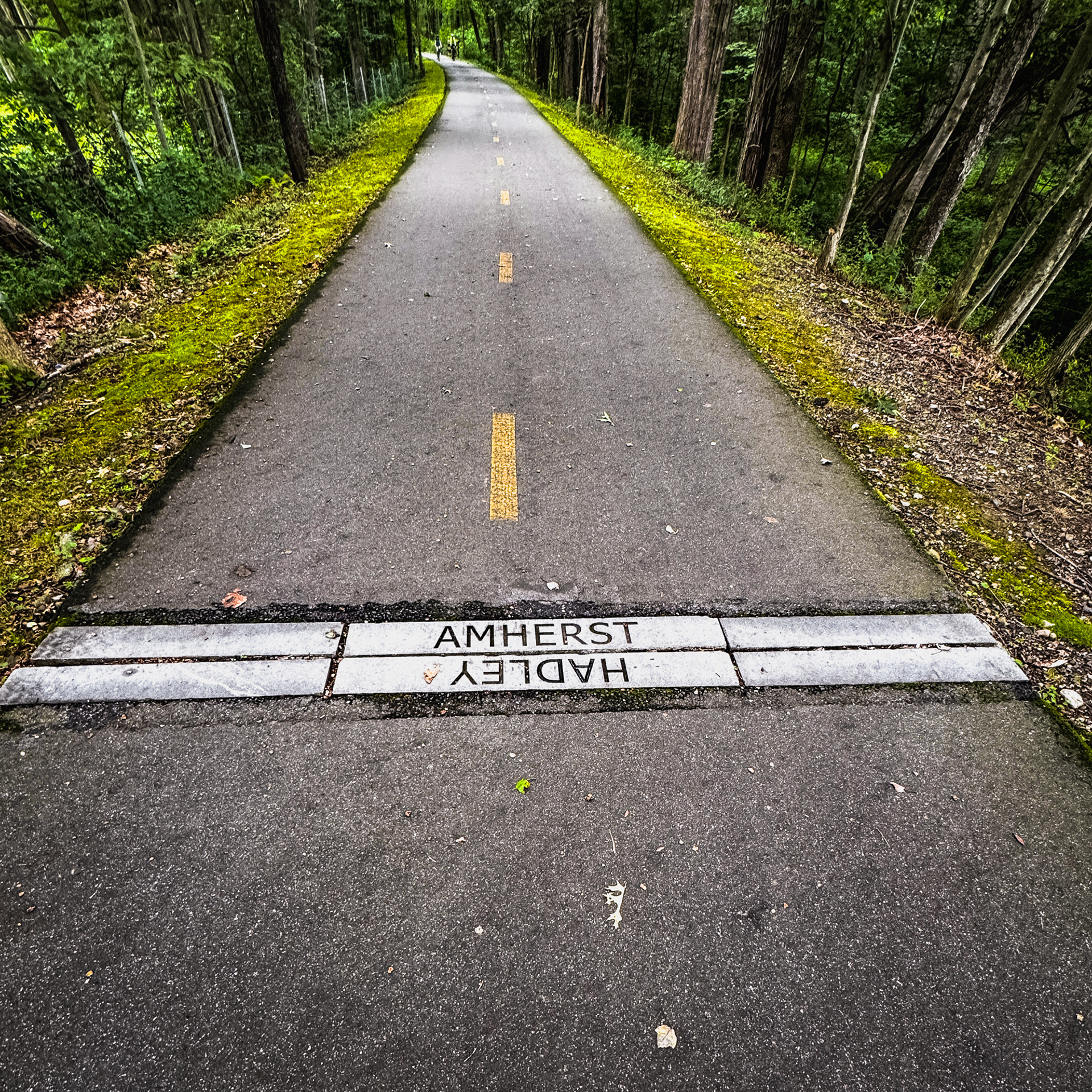 amherst - hadley trail