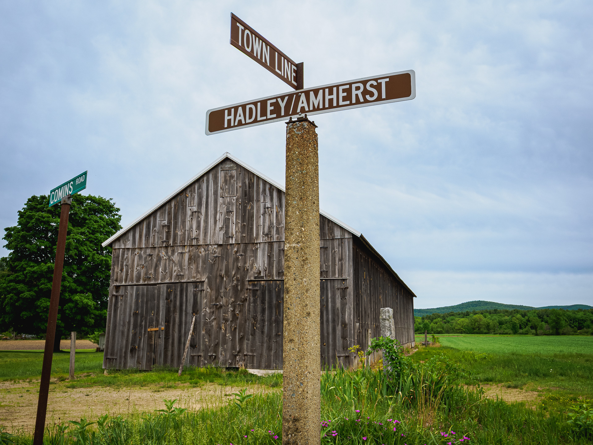 hadley - amherst farm