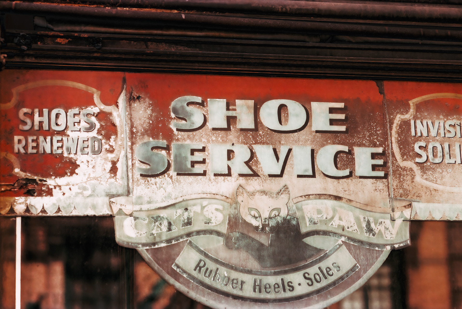shoe it