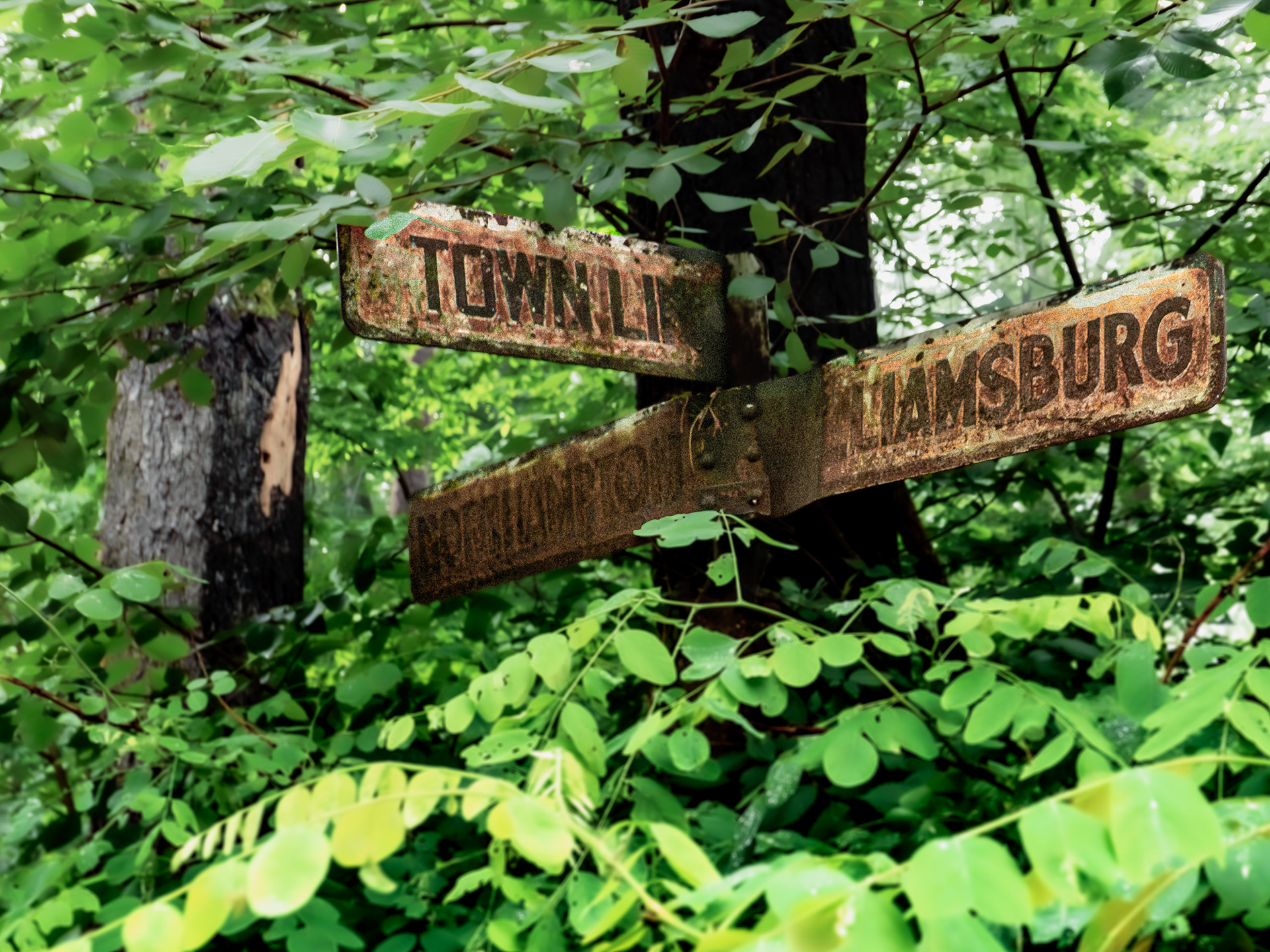 northampton - williamsburg