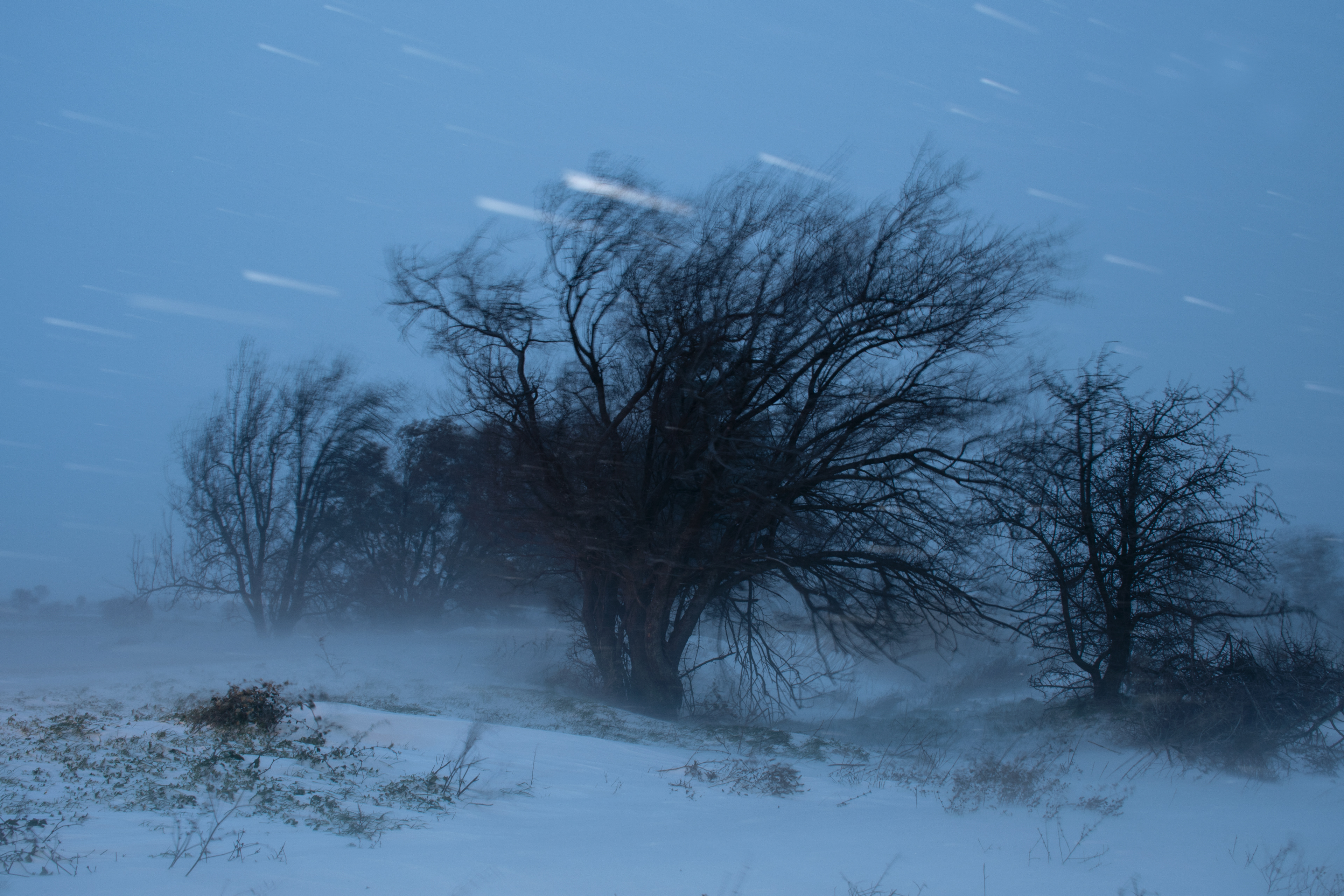 Yiannis Kaltseras_그리스