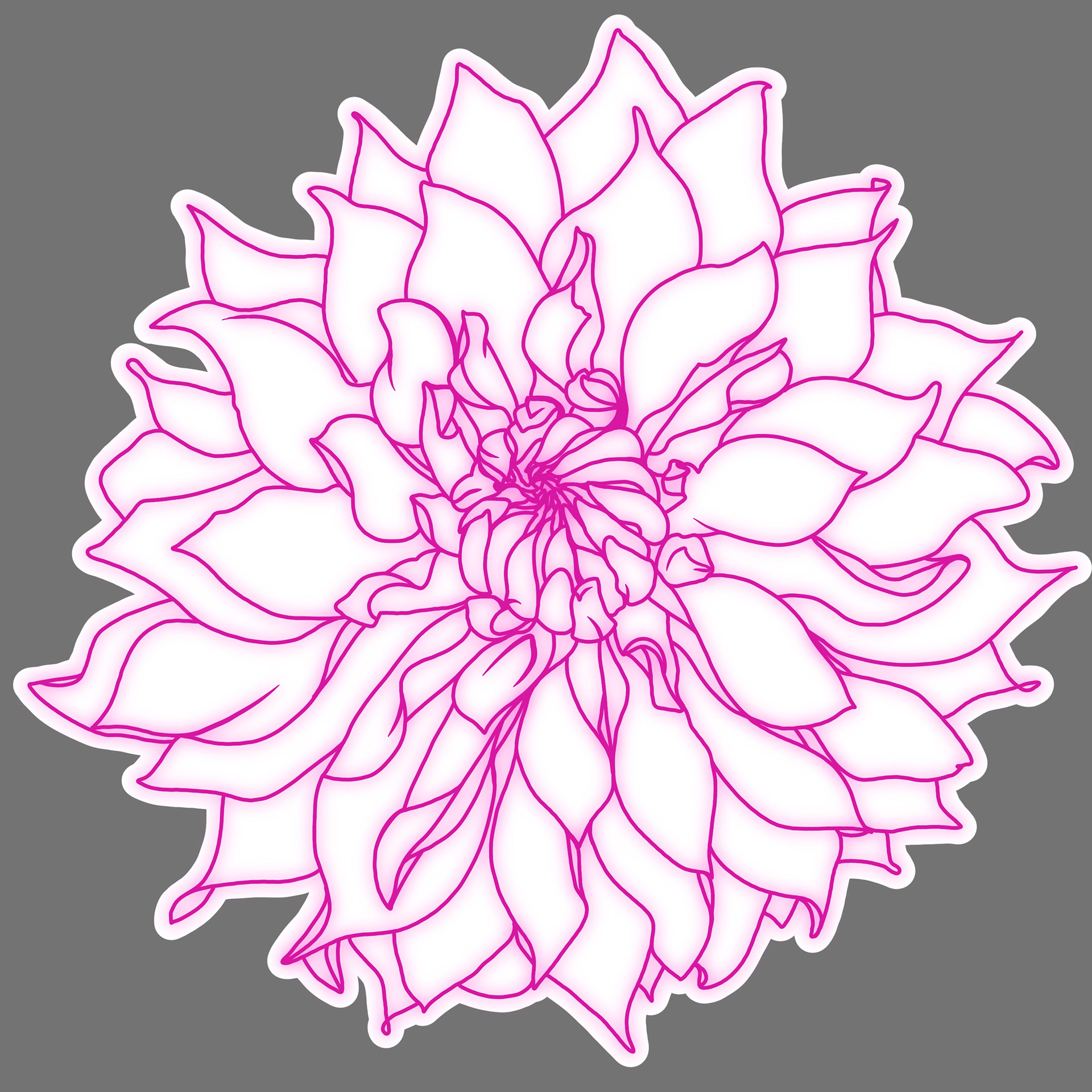 Dahlia Sticker - White
