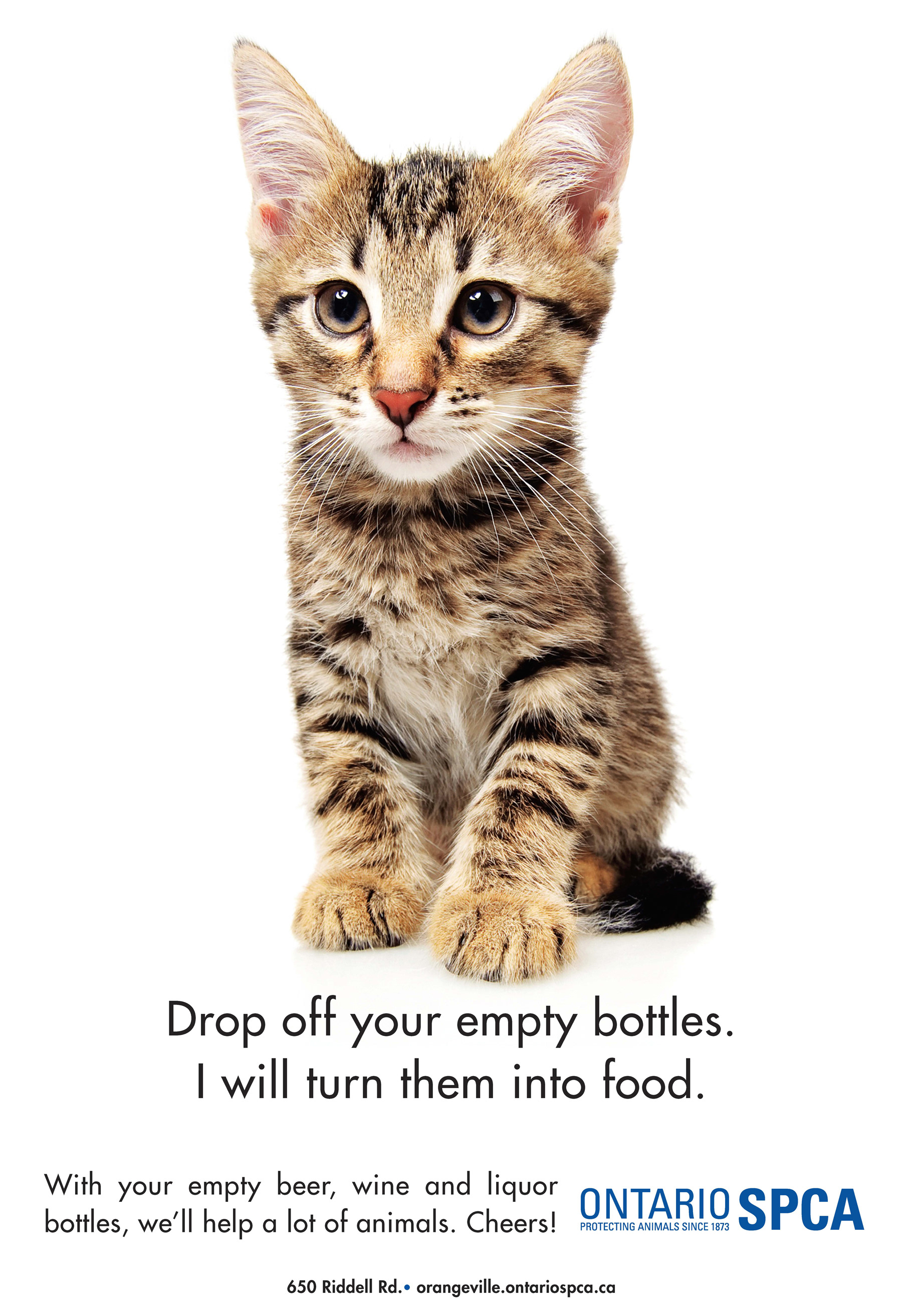 A transit shelter poster
