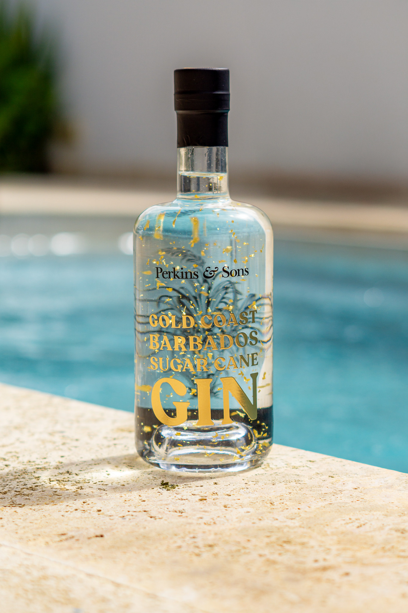 Perkins & Sons Gold Coast Sugar Cane Gin bottle on poolside stone ledge