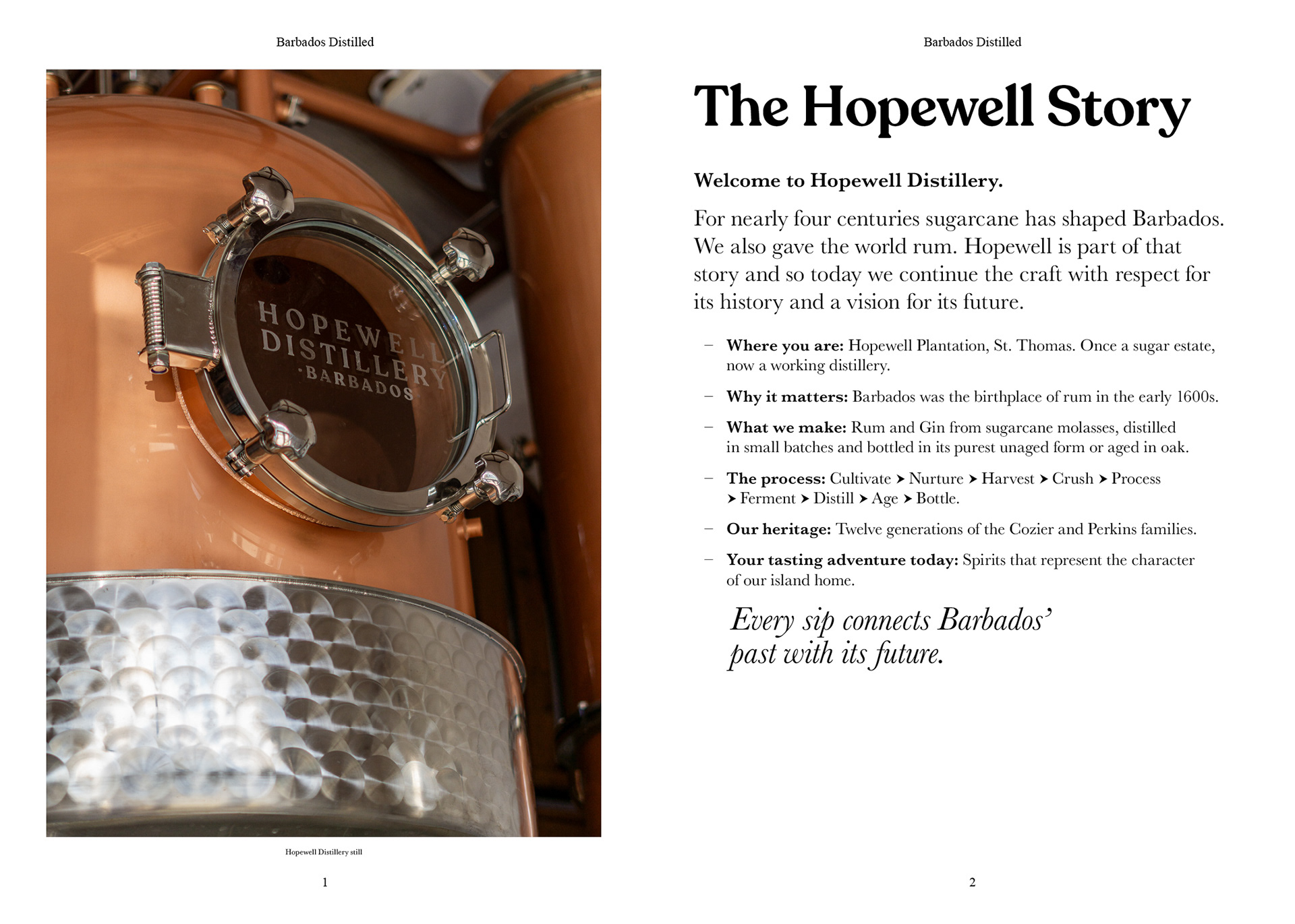 Opening spread: The Hopewell Story