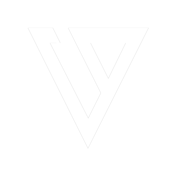VIZION Studio