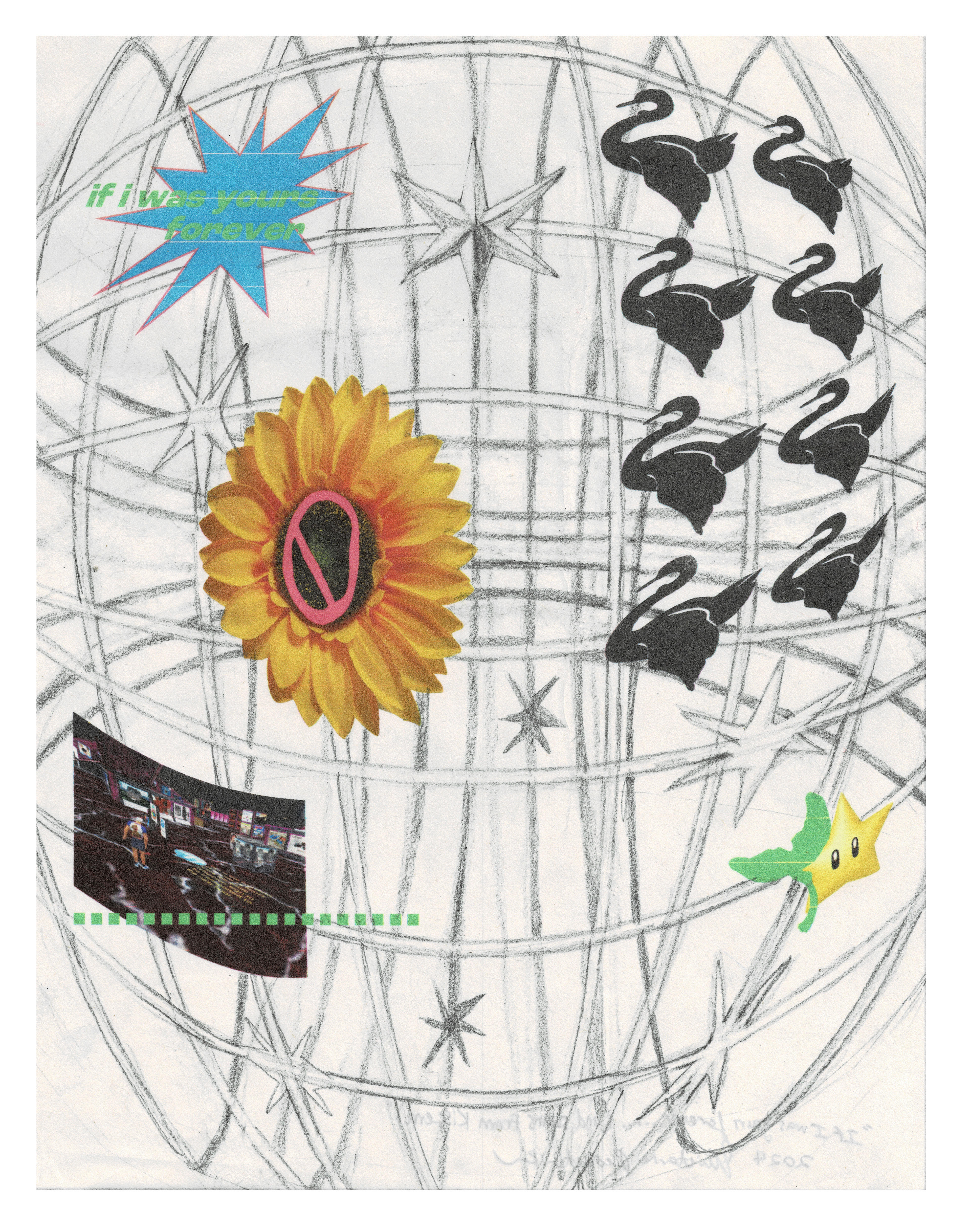 if i was young forever...... (And Swans from Kissena), 2024, inkjet print and graphite on Kozo, 8.5 x 11"