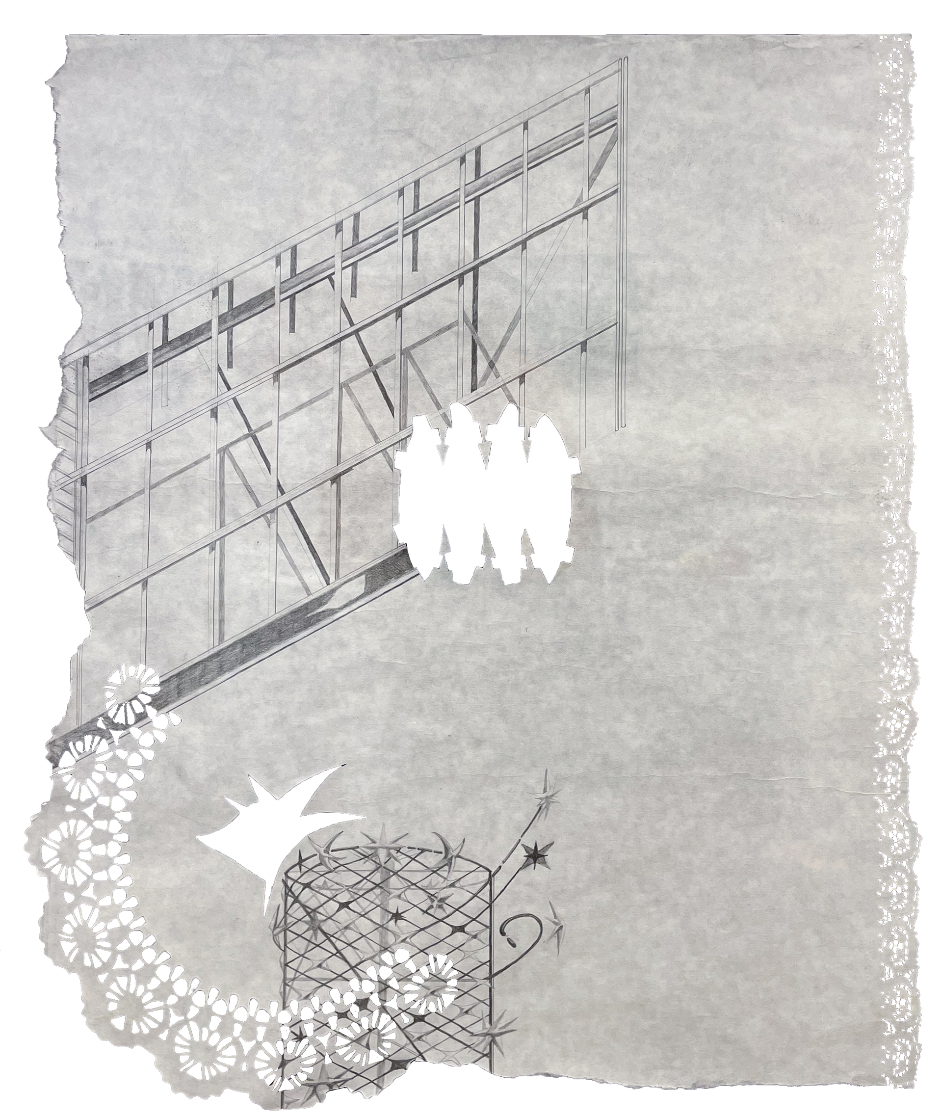 Fancy Image #1, 2024, graphite on Kozo with laser cut detailing, 24 x 30"