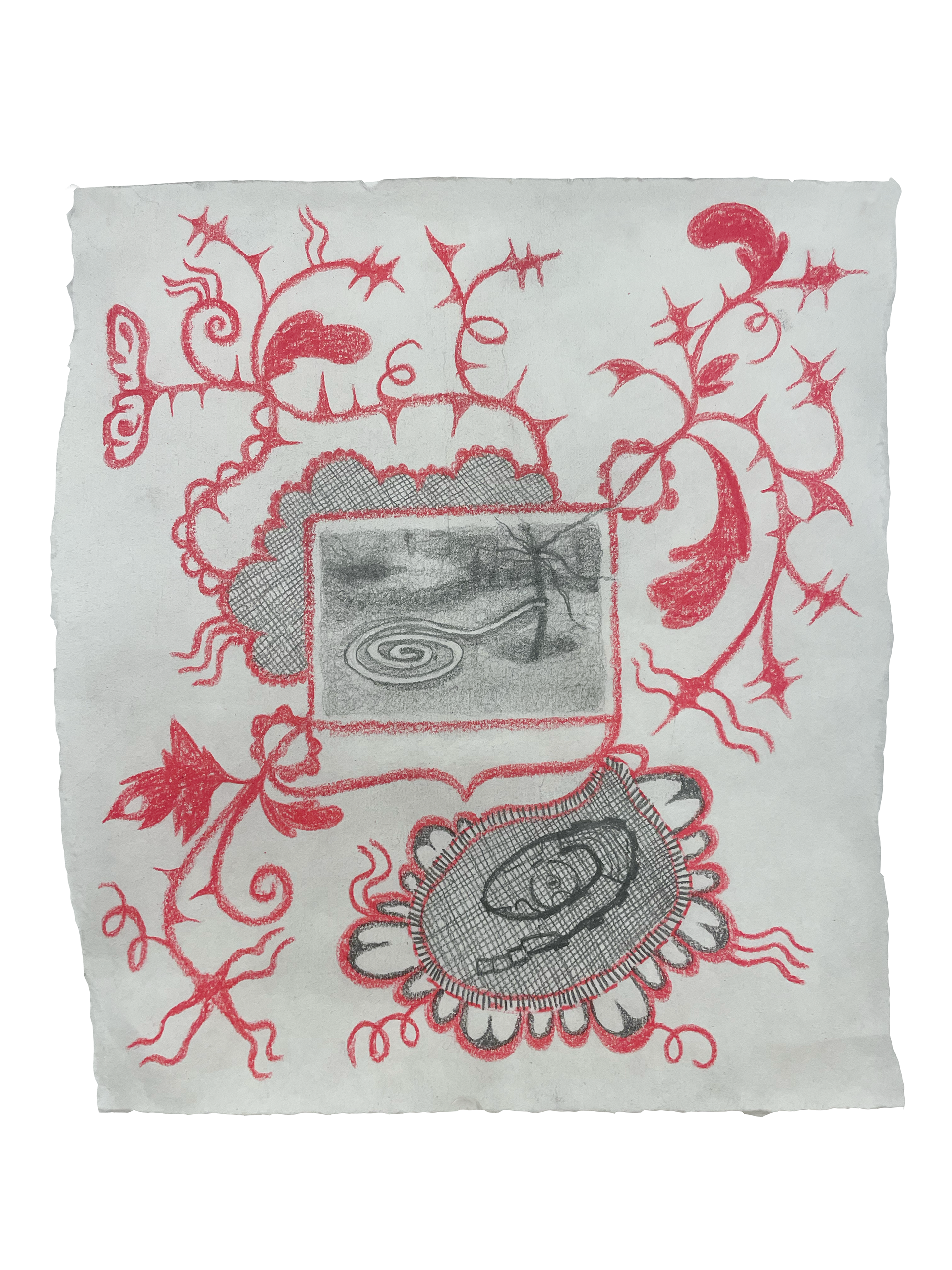 Untitled, 2023, colored pencil and graphite on Japanese paper