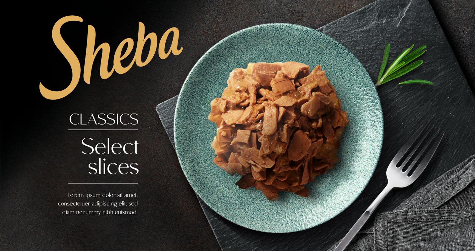 Sheba – Photoshop Visual for Client Presentation