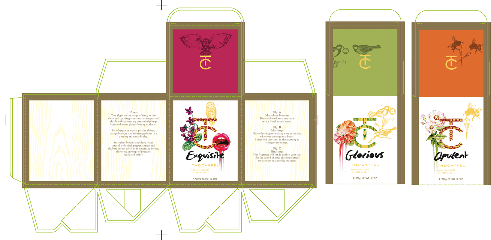 Beauty Creams – Litho Cartons – Artwork