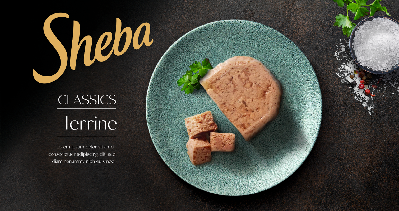 Sheba – Photoshop Visual for Client Presentation