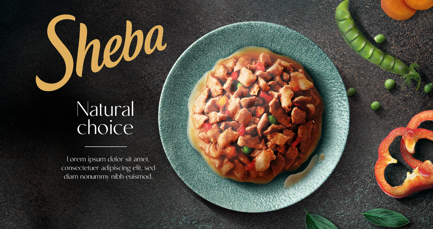 Sheba – Photoshop Visual for Client Presentation