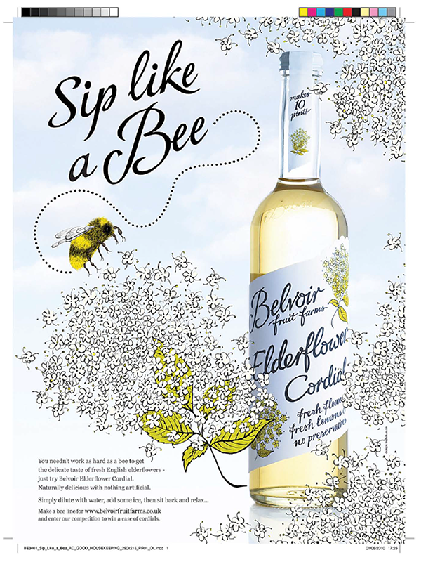 Belvoir Fruit Farms Cordials – Advert – Artwork