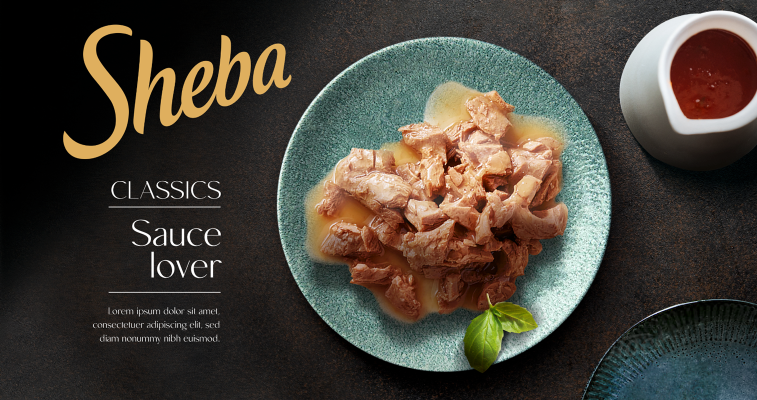 Sheba – Photoshop Visual for Client Presentation