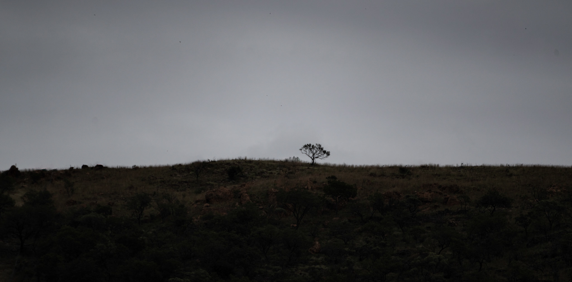 Johannesburg, South Africa