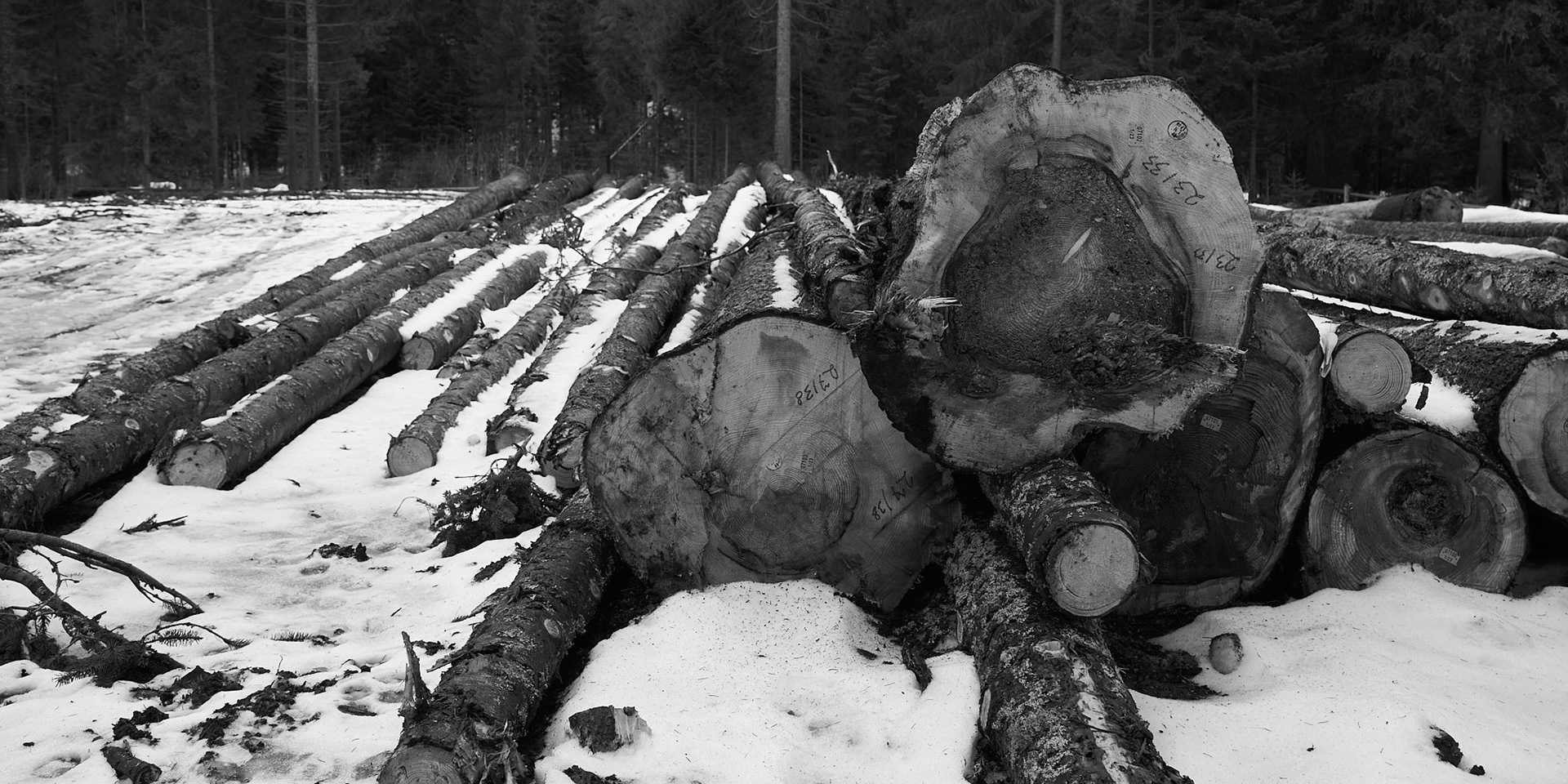 Tatra mountains, Poland
