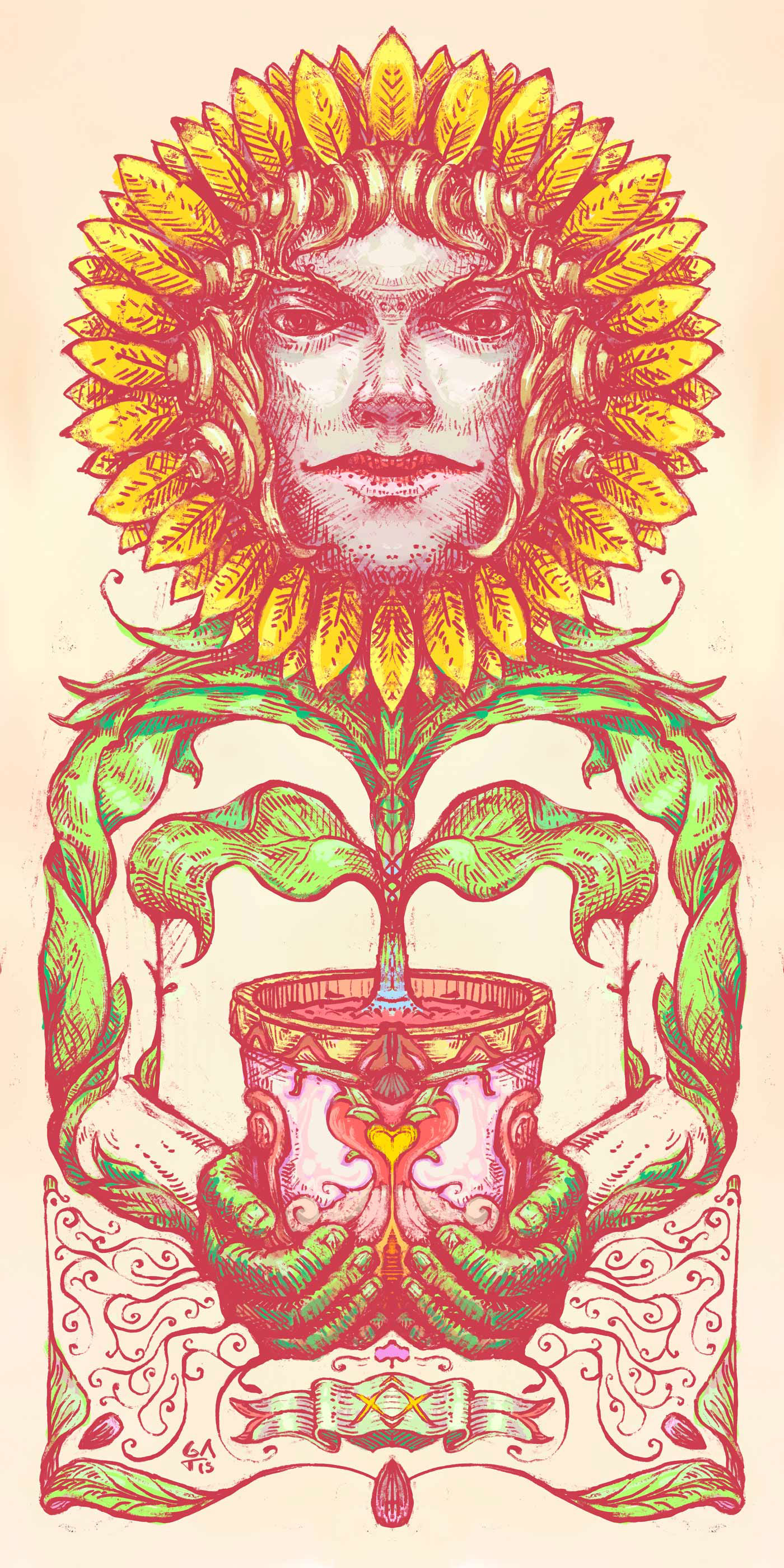 SUNFLOWER, Gatis cirrus. illustration, drawing, seed, garden, pot, face, surface, green man, roots