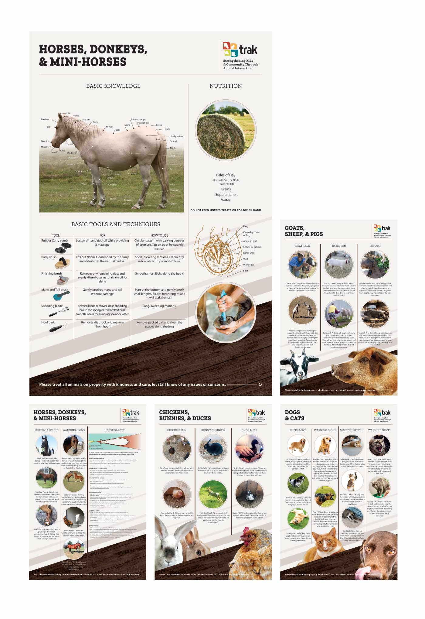 TRak educational posters, Gatis Cirulis, graphic design, typography, horses, cats, chickens, dogs