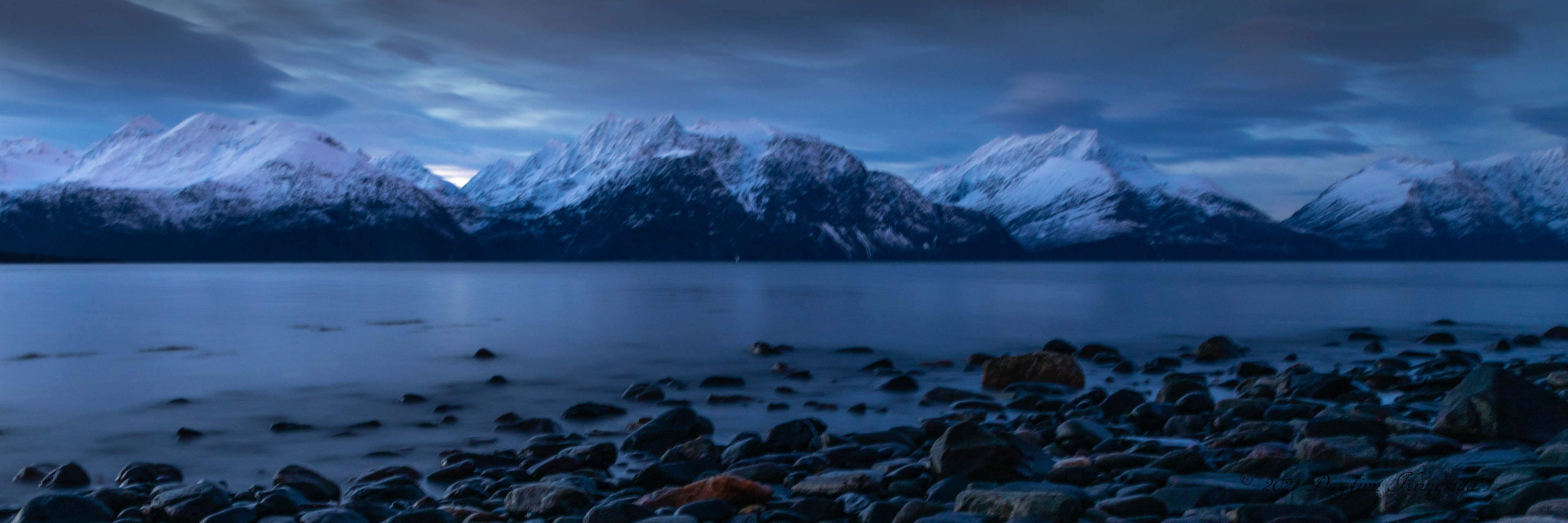 Lyngsalpene