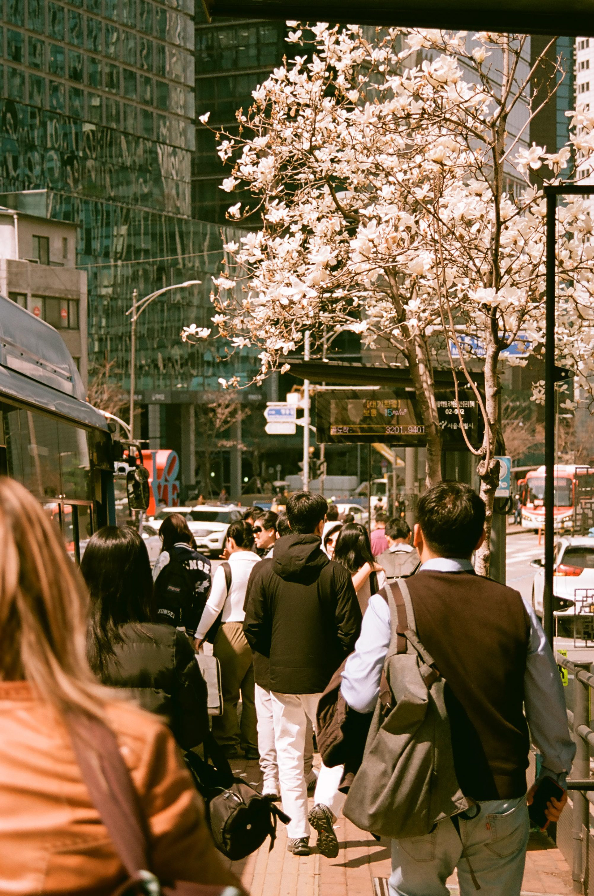 EOS 620, Kodak Aerocolor IV