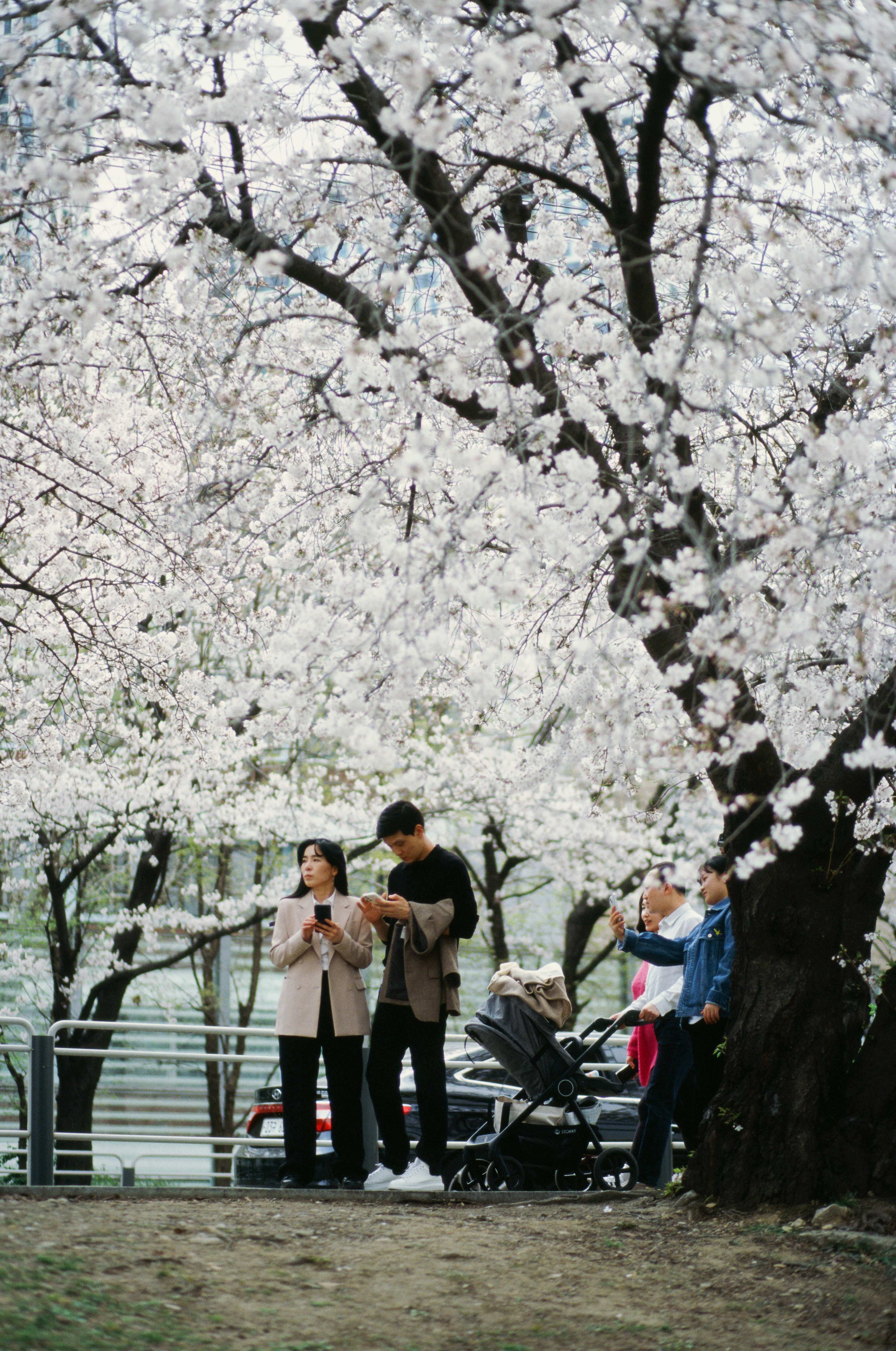 EOS 620, Kodak E100D