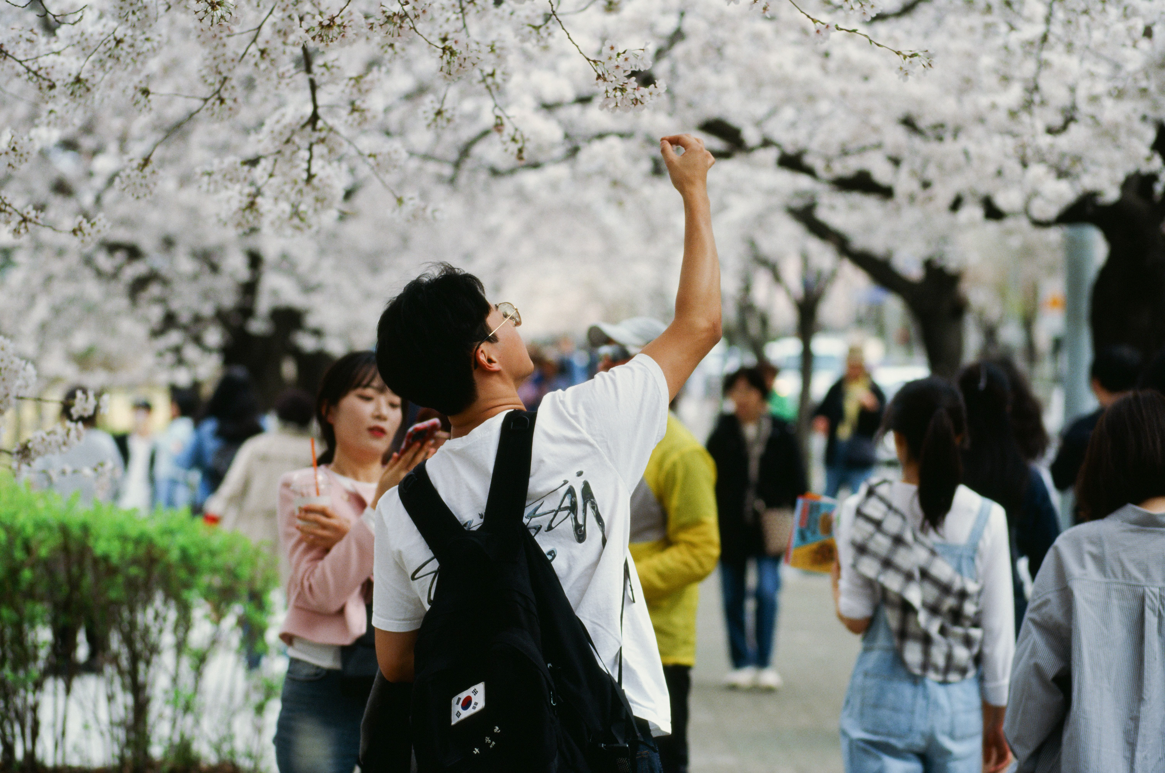 EOS 620, Kodak E100D