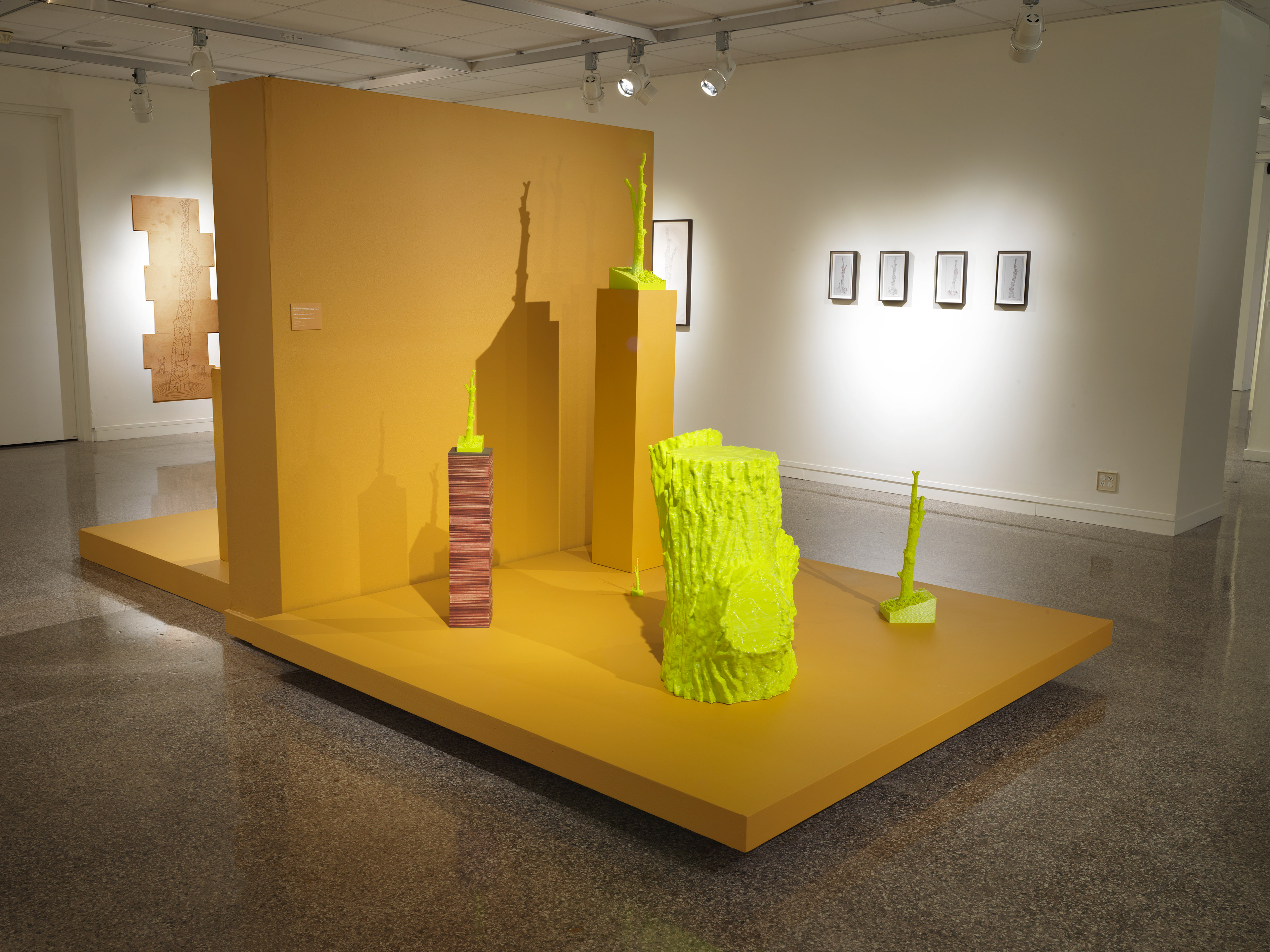 Installation at Rockford Art Museum