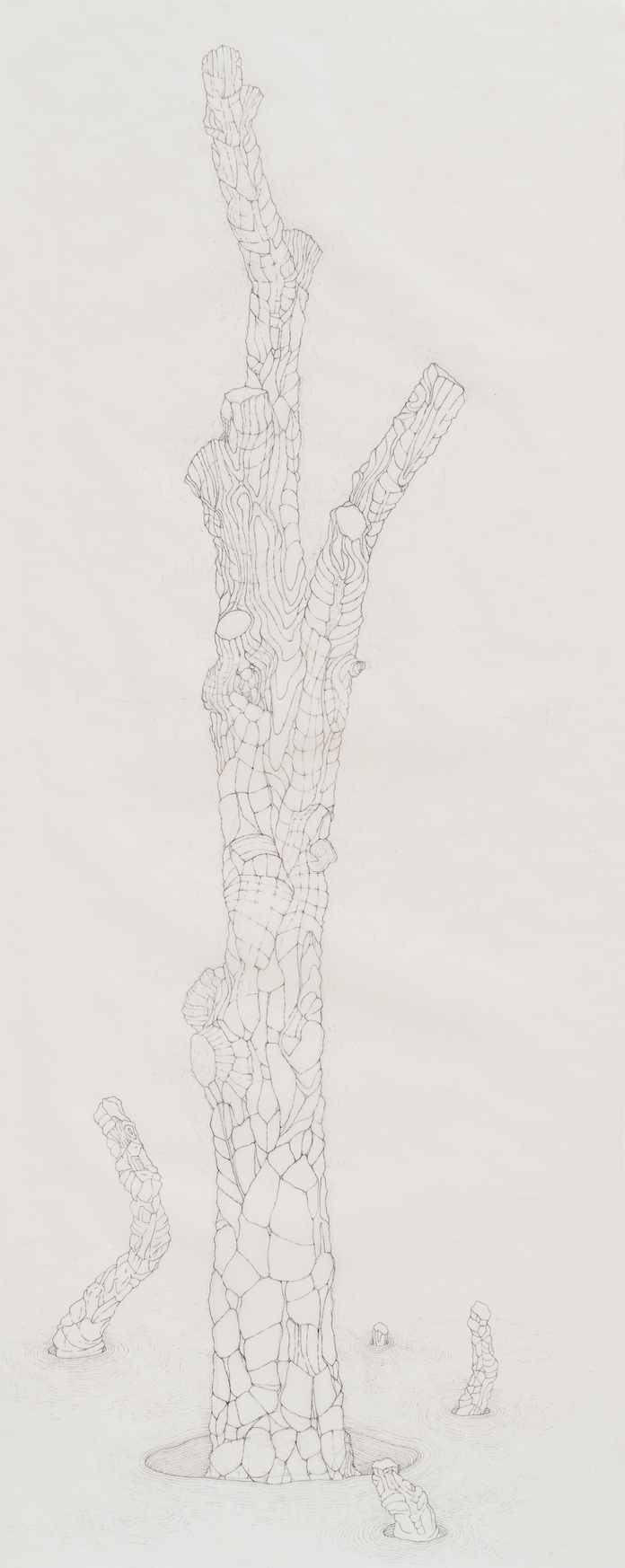 [W10] Amputated Wise Oak 4, 2022-23 graphite on vellum Paper size: 30 x 13 in (76.2 x 33.02 cm) Framed: 33.25 x 16 in (84.46 x 40.64 cm)