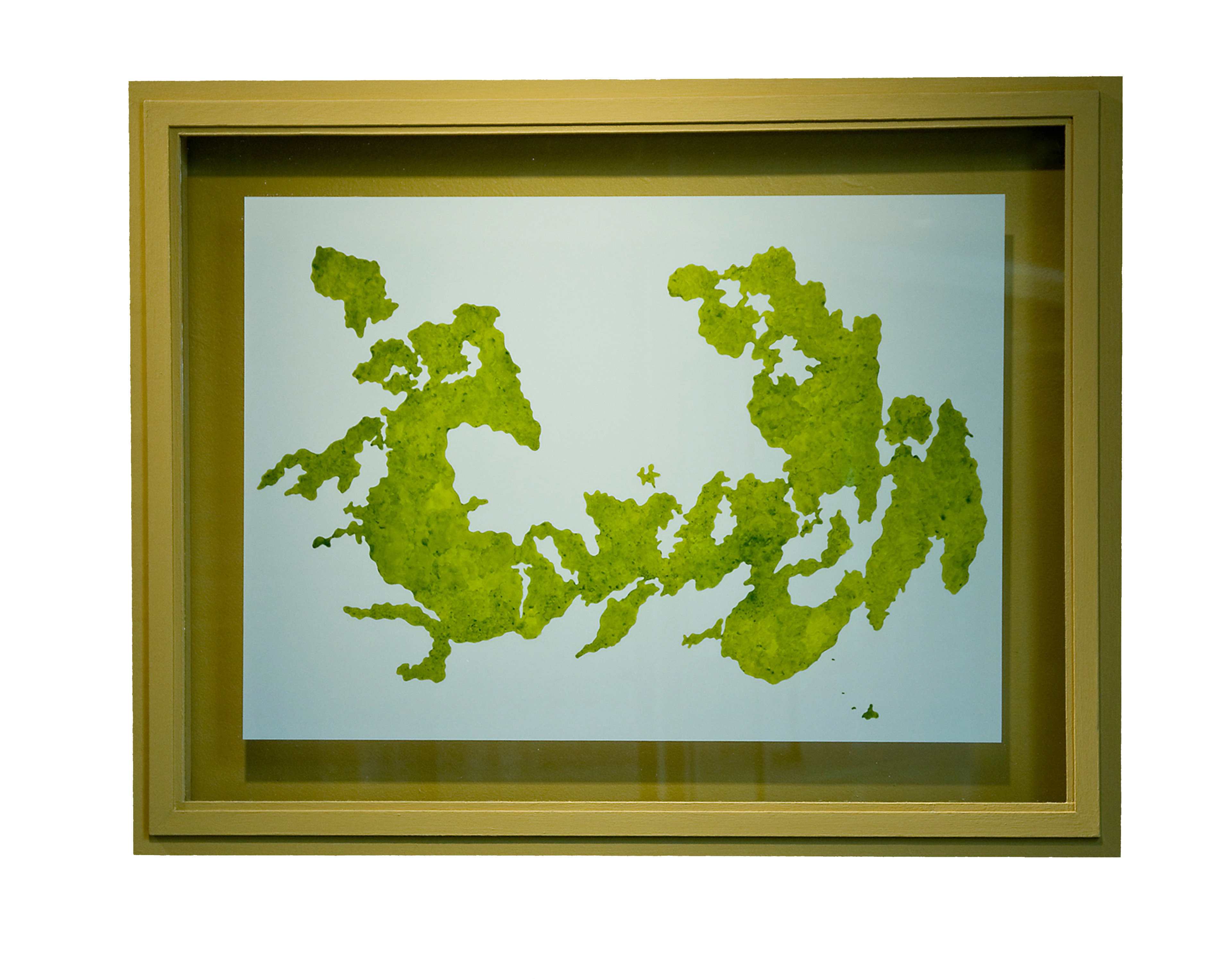 Shower Puddle Drawing #4, 1997-2000 Dr. Ph. Martin's dye on Mylar Framed: 24.5 x 31.5 x 1.5 in (62.23 x 80.01 x 3.81 cm)