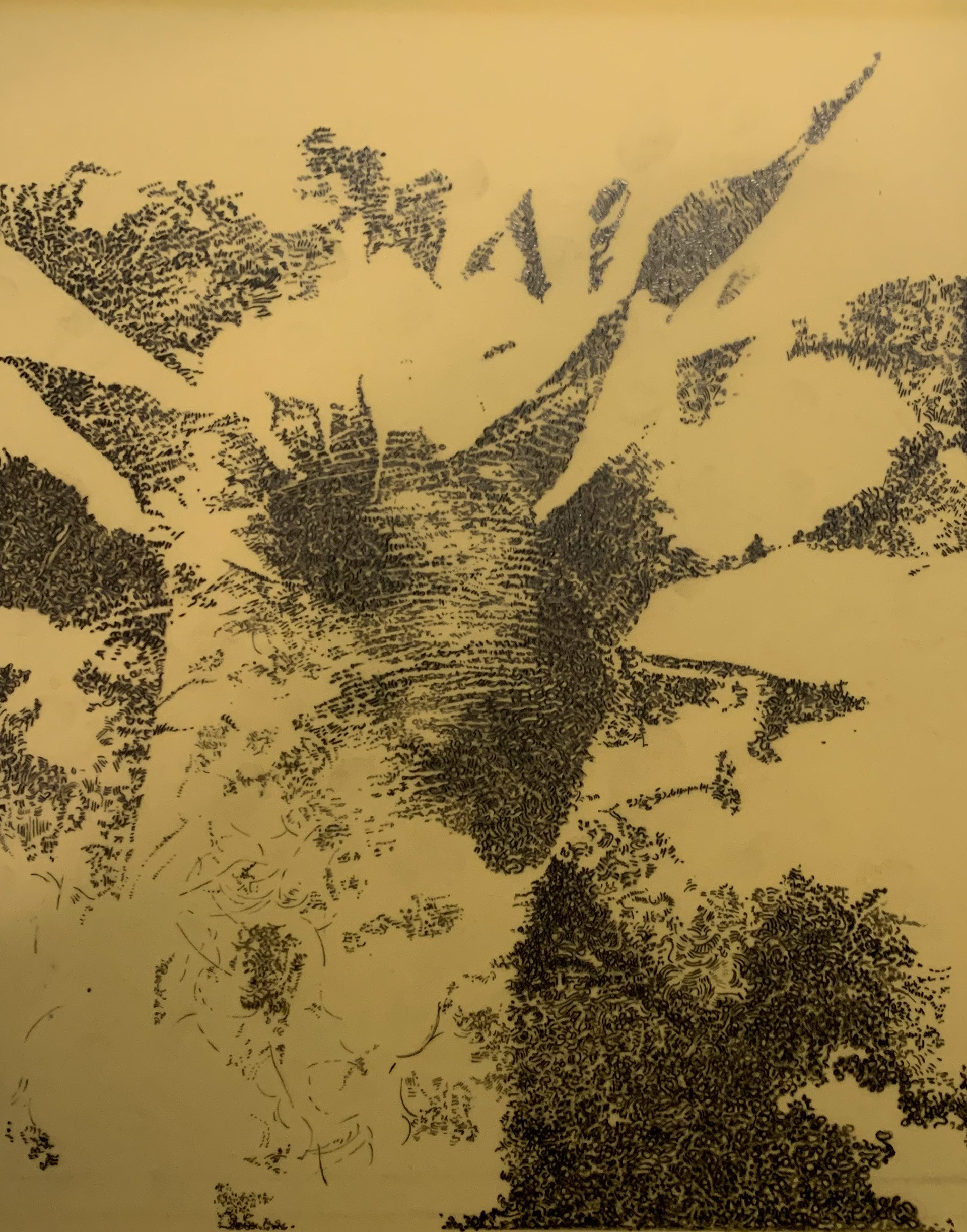 [BP5] Lambchop-right knee-self, 2000 graphite on Mylar over colored board Framed: 20.25 x 17.75 x 1.25 in (51.44 x 45.09 x 3.18 cm)