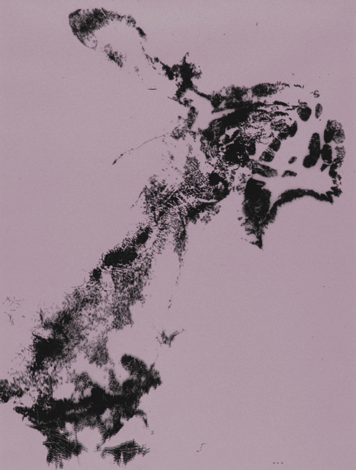 [BP2] Cwazy Wabbit-left arm/hand-self, 1996-98 graphite on Mylar over colored board 33.5 x 26 x 1.5 in (85.09 x 66.04 x 3.81 cm)