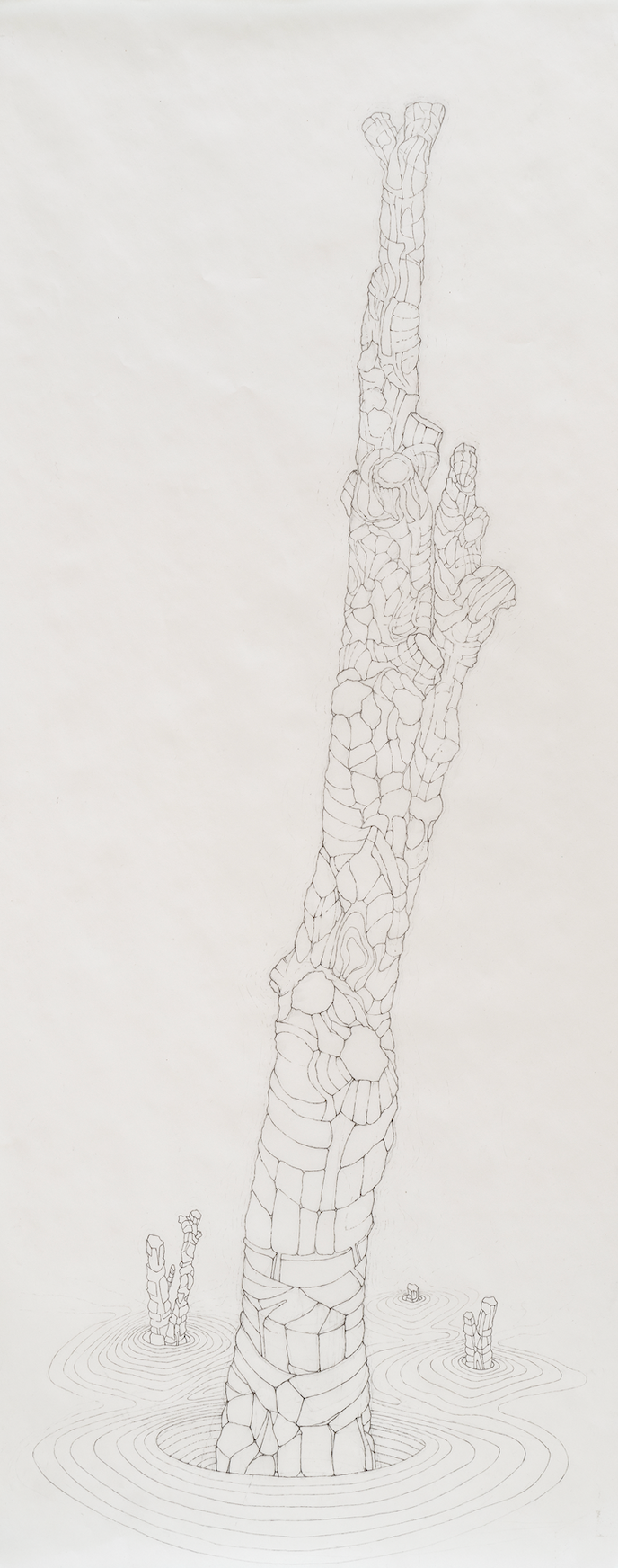 [W12] Amputated Wise Oak 2, 2022-23 graphite on vellum Paper size: 30 x 12 in (76.2 x 30.48 cm) Framed: 32.5 x 15 in (82.55 x 38.1 cm)