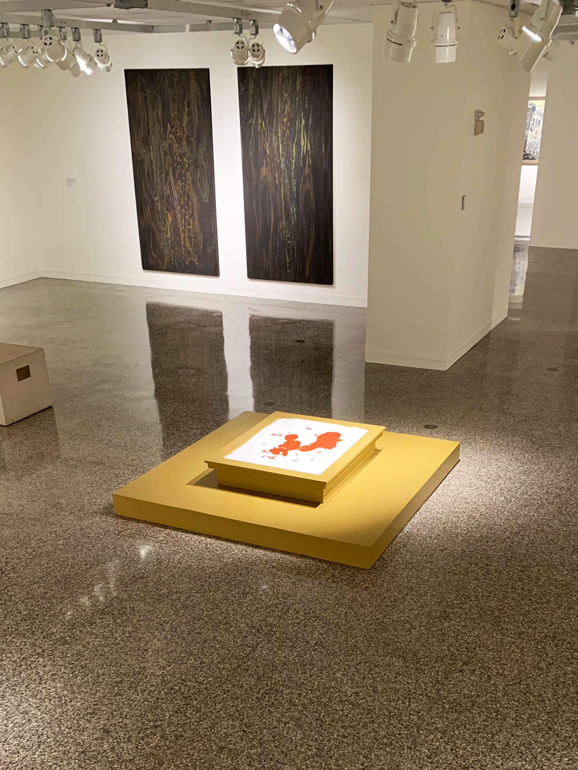 Installation at Rockford Art Museum