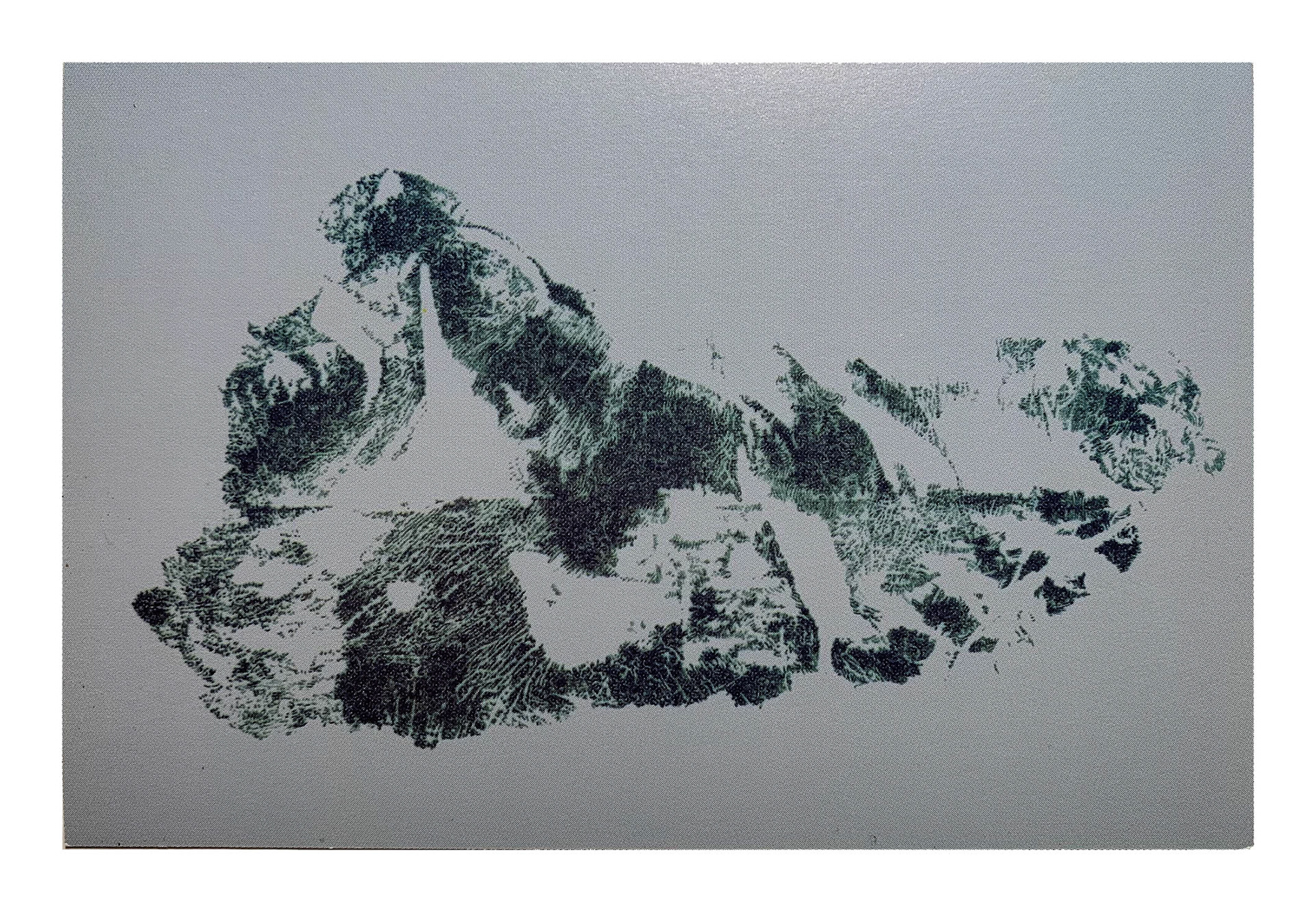 Butch On/Under Foot, 2000 graphite on Mylar over colored board Framed: 20.25 x 28.25 x 1.25 in (51.44 x 71.76 x 3.18 cm)