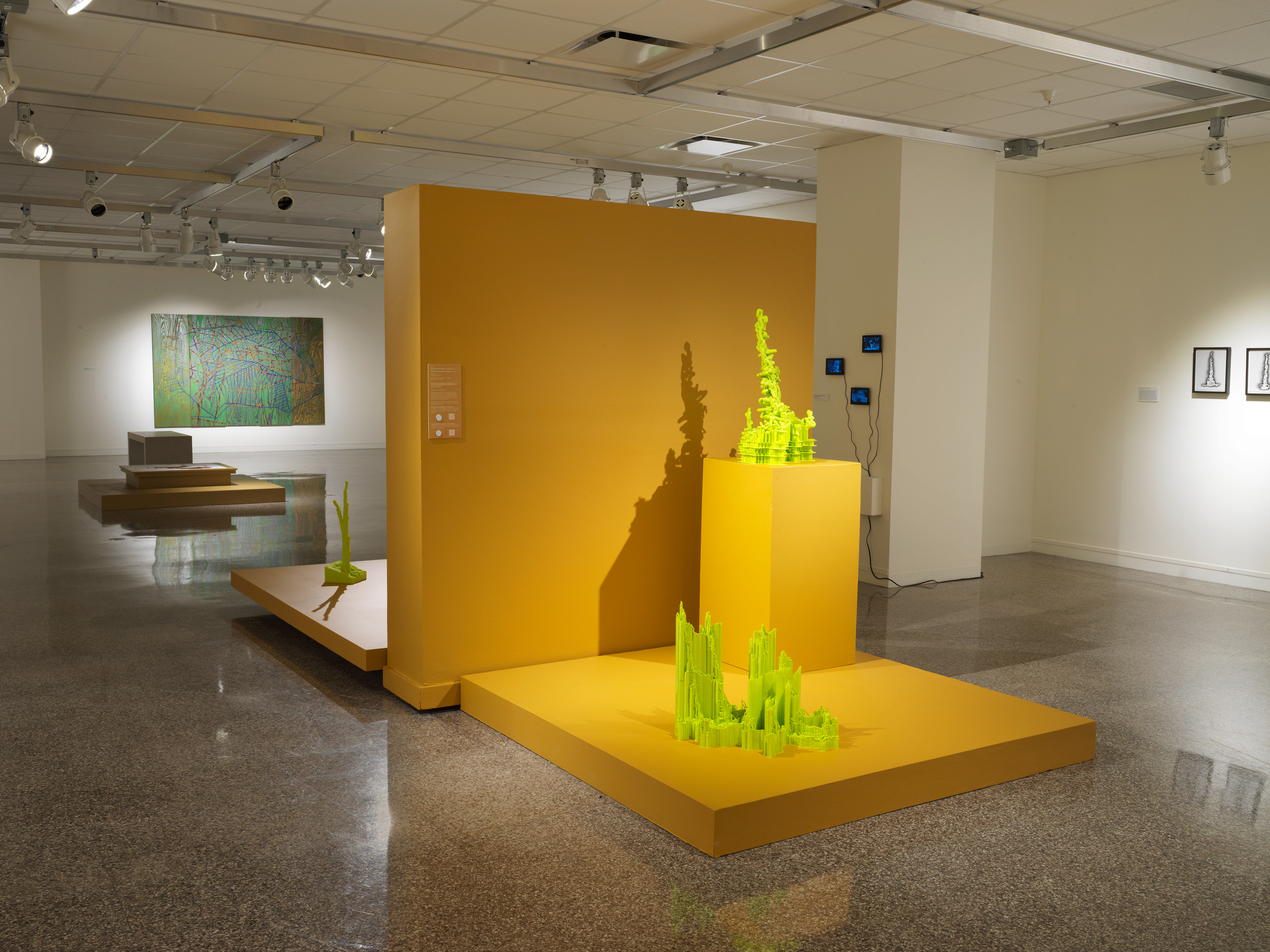 Installation at Rockford Art Museum